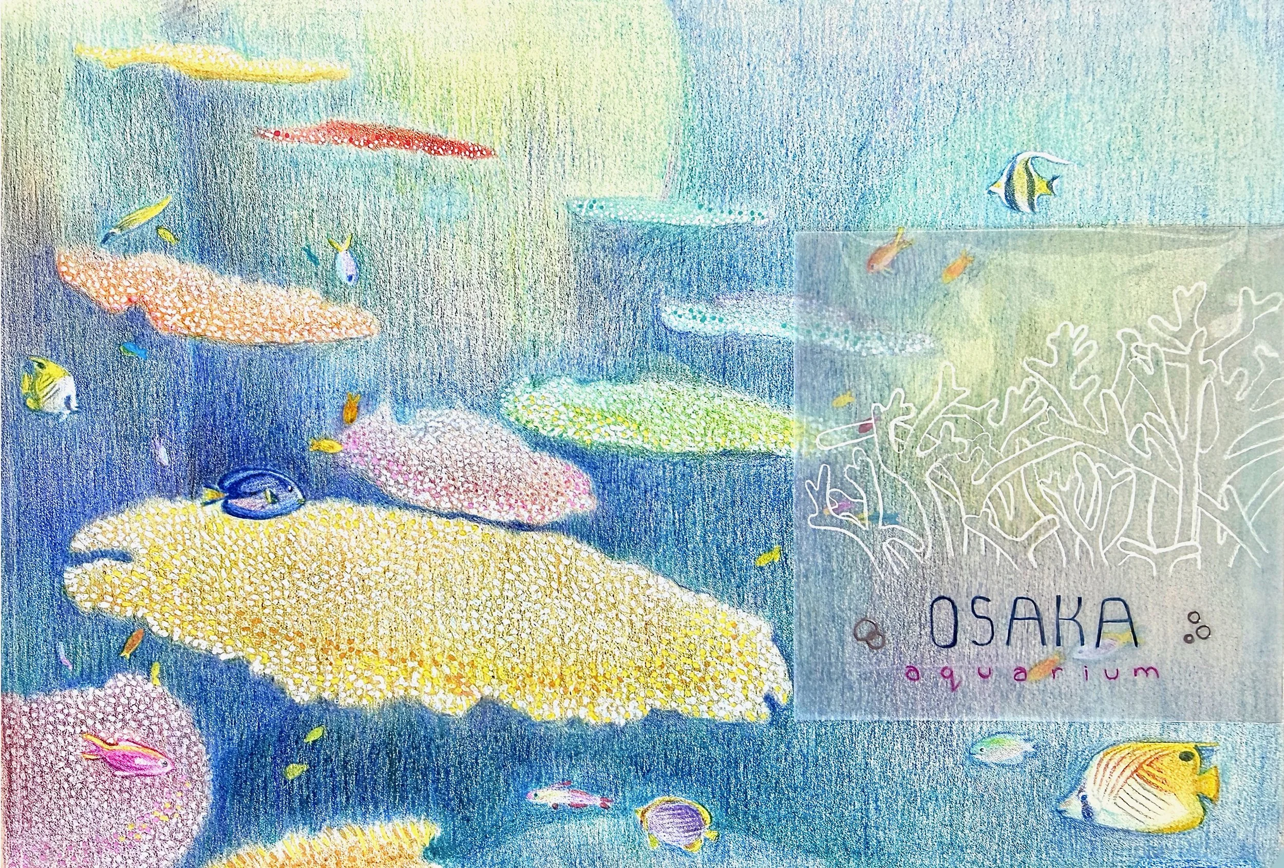 DORY.jpeg