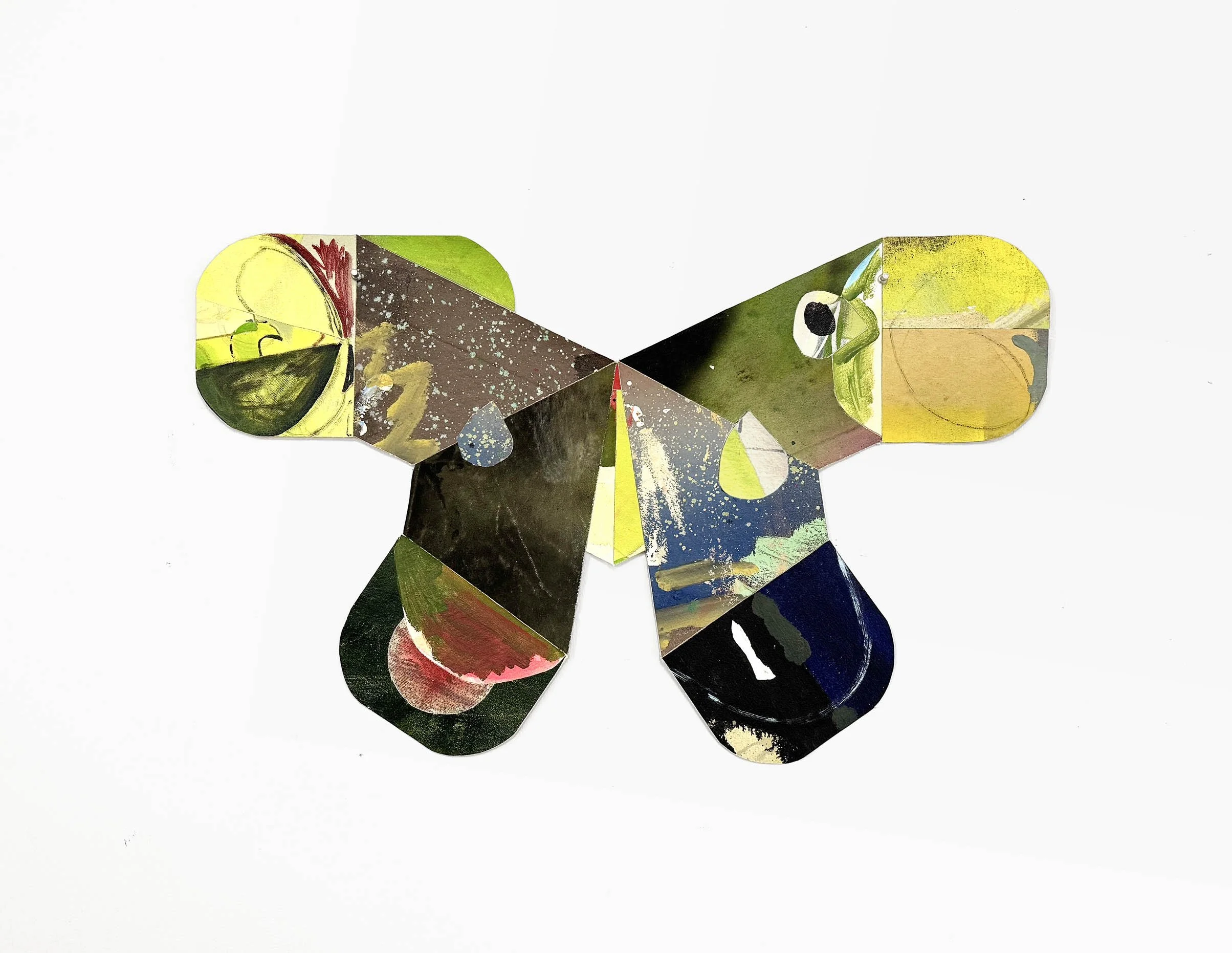 moth.jpg