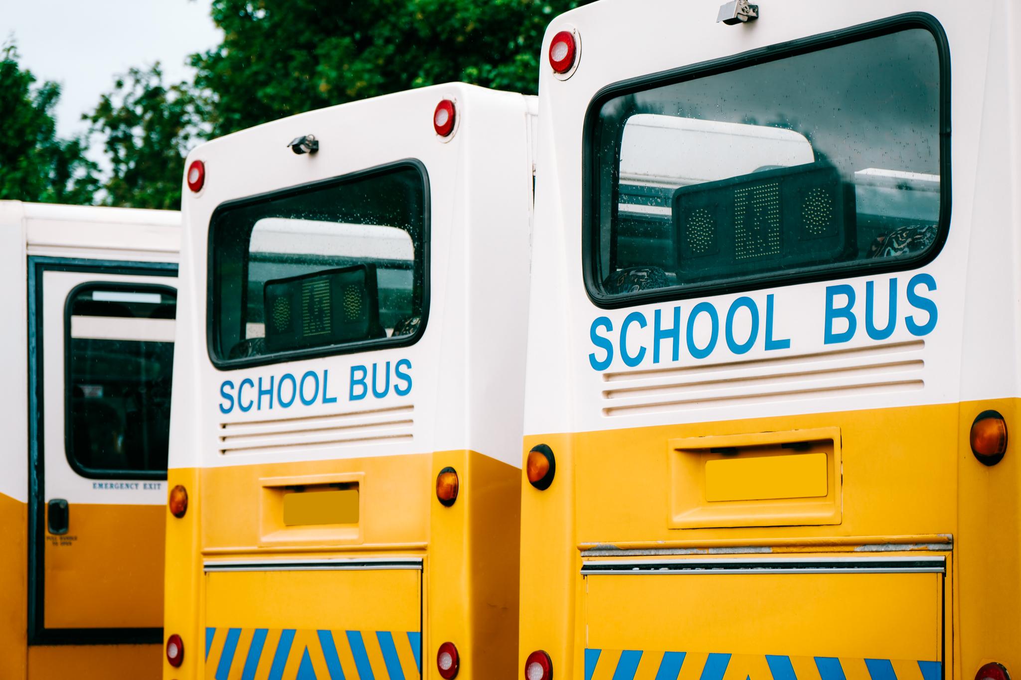 Two yellow and white school buses parked outdoors, with the words 'SCHOOL BUS' on the back windows.