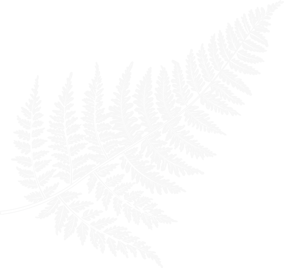 A gray fern leaf on a black background