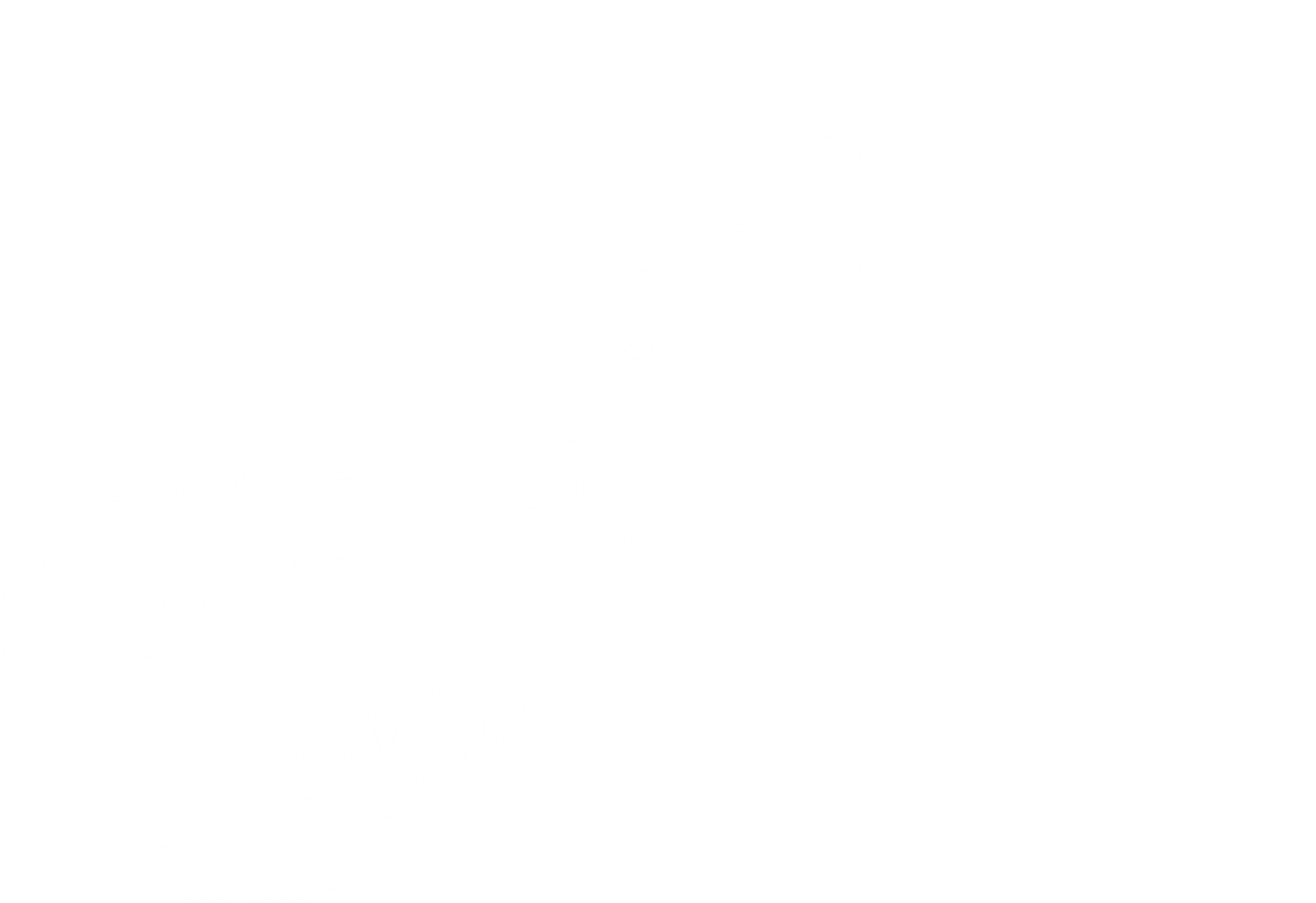 Fern in white as a background image