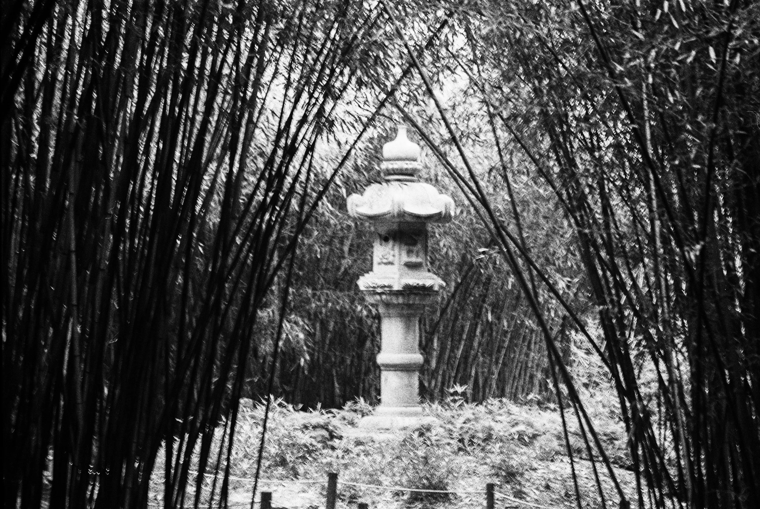 bbg-b&w-6.jpg