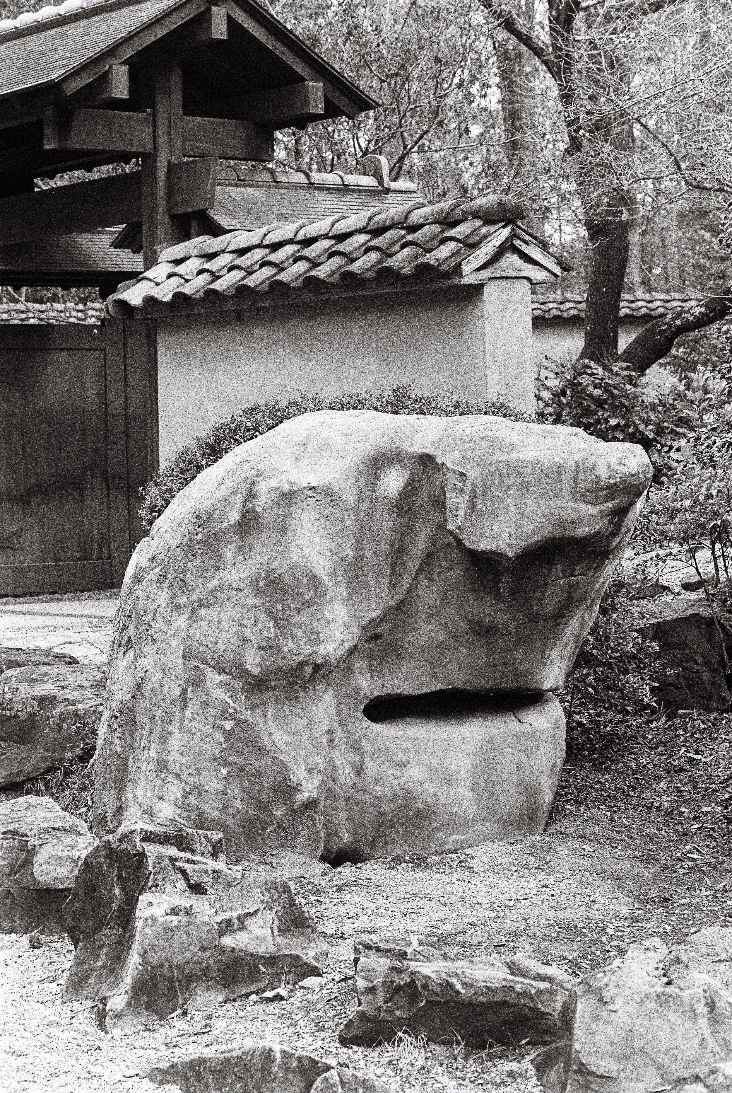 bbg-b&w-25.jpg