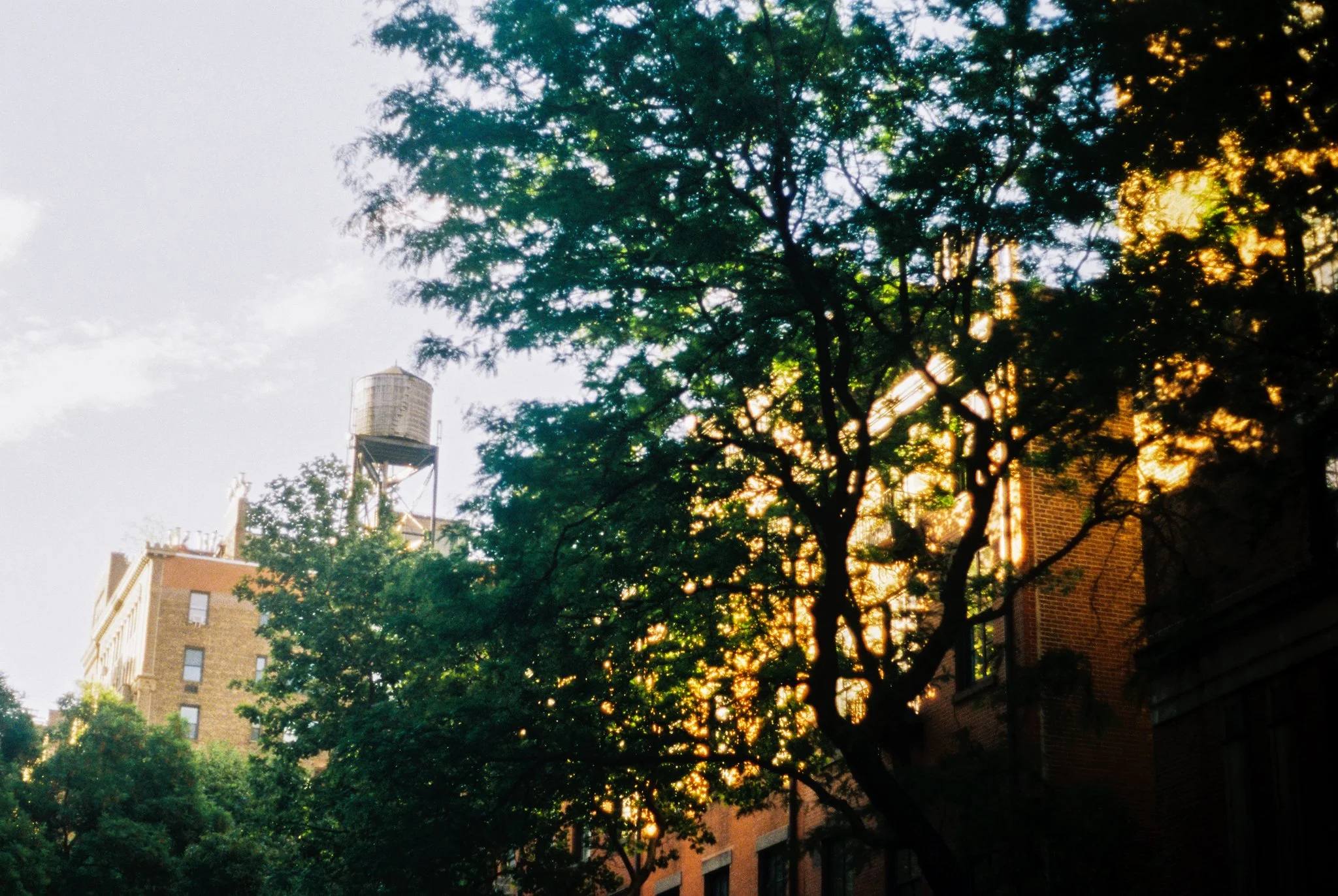 nyc-74.jpg