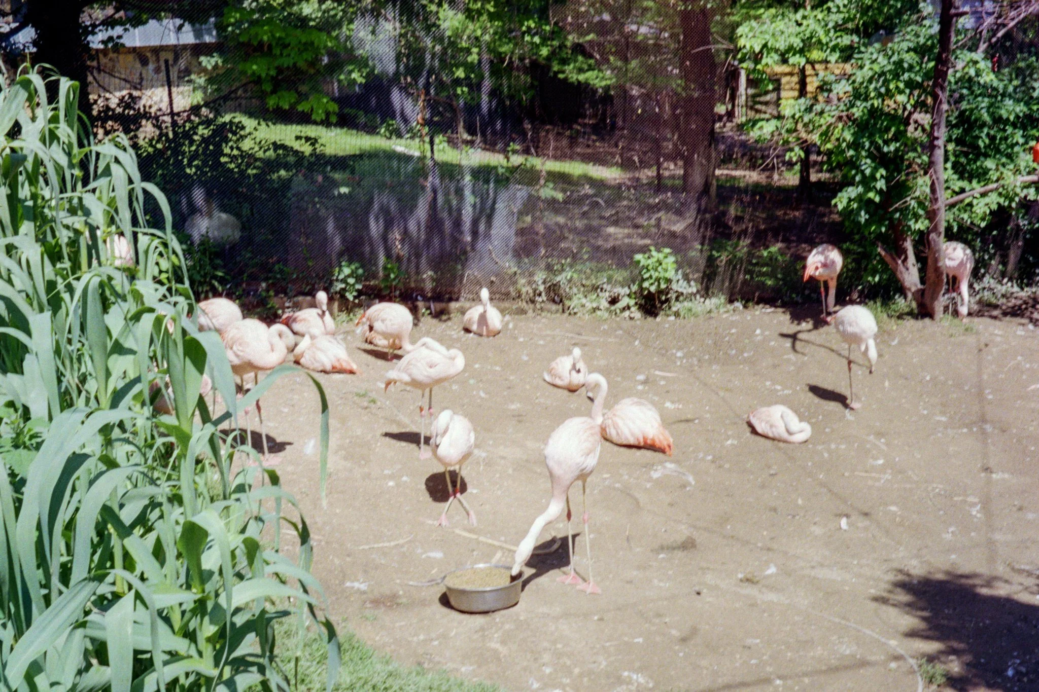 zoo-2017-26.jpg