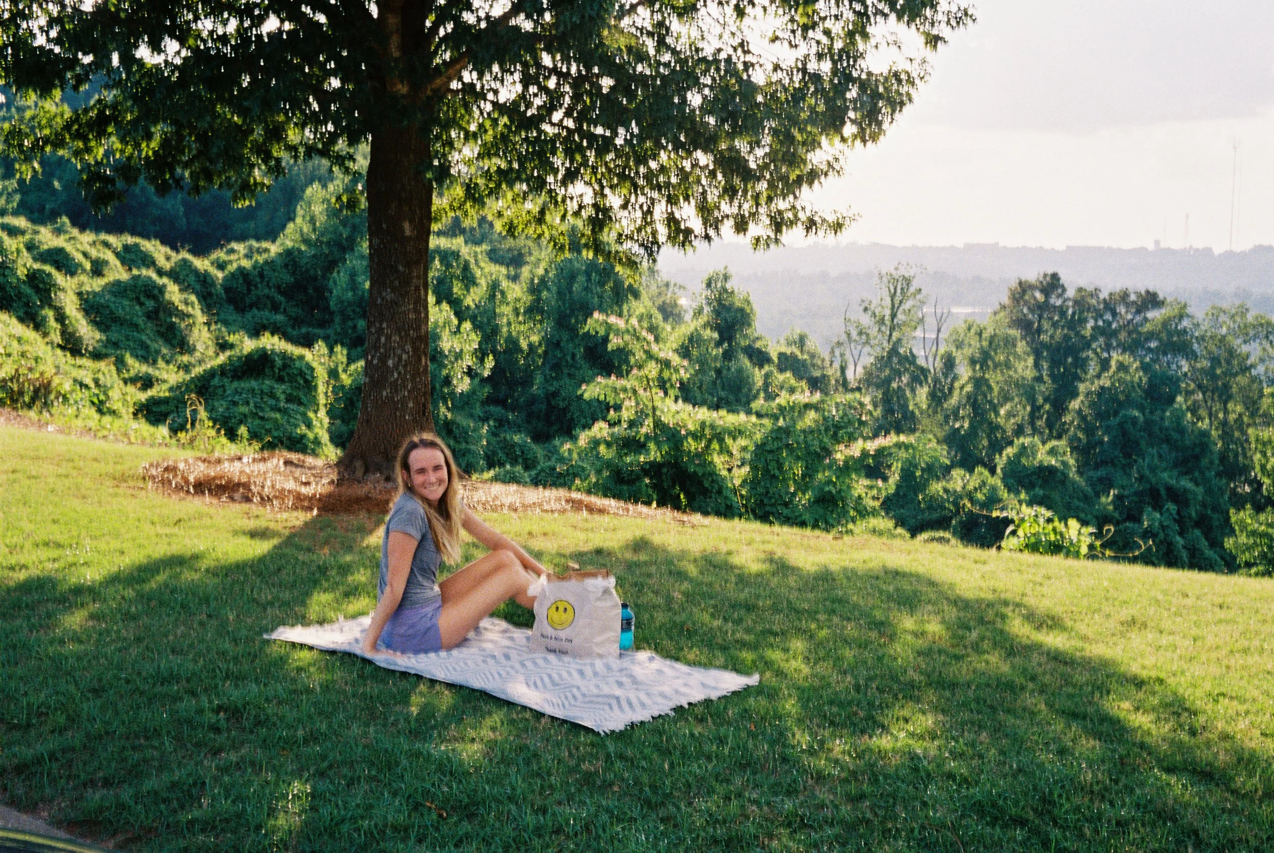 bhamview-4.jpg