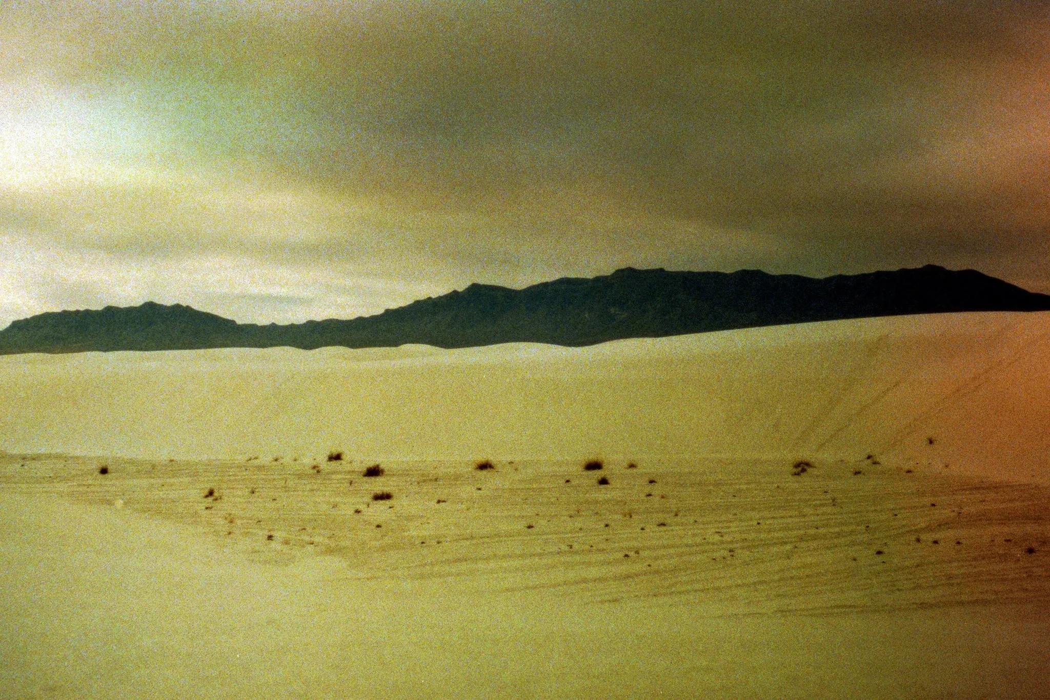 whitesands-17.jpg