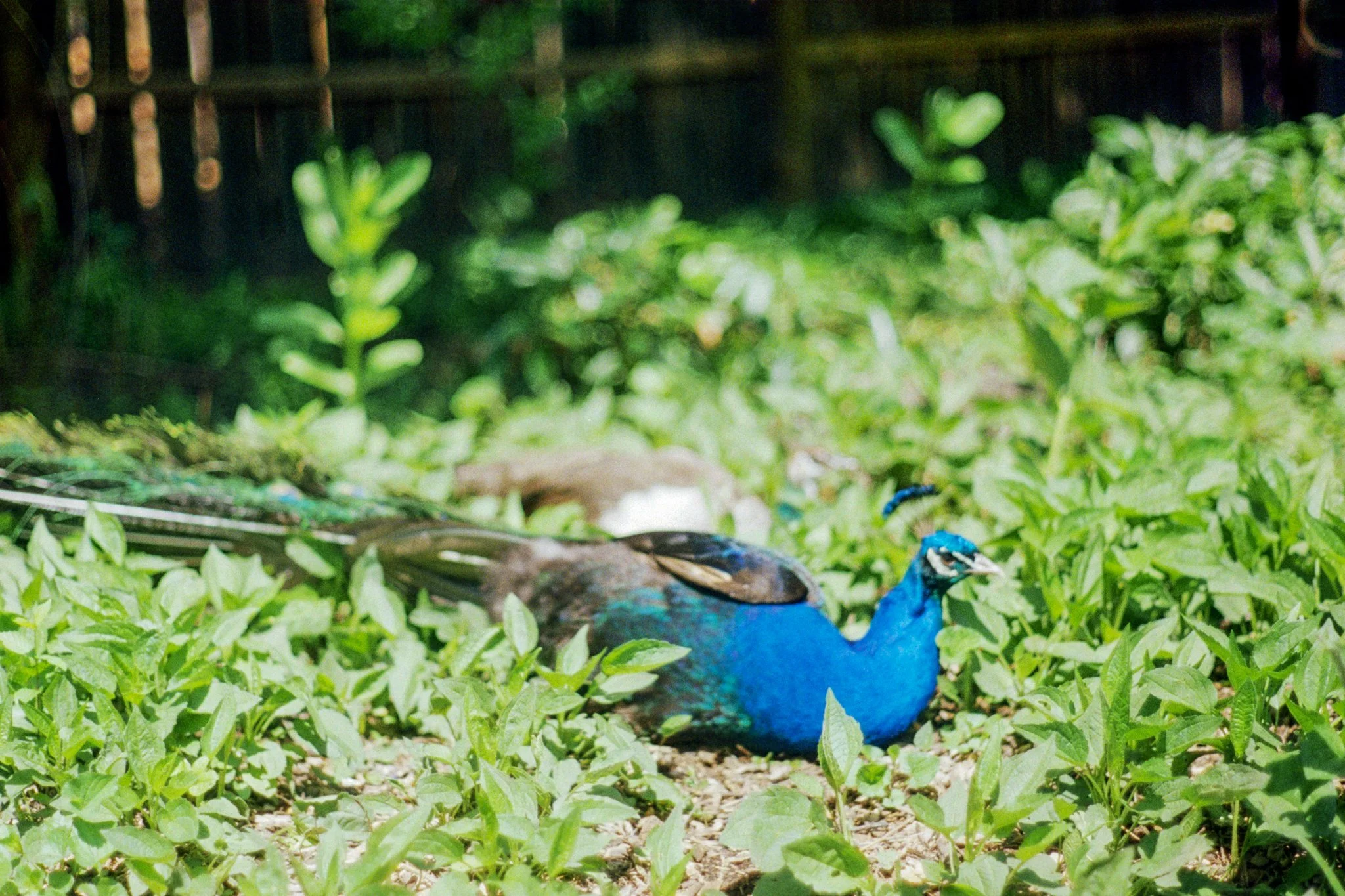 zoo-2017-19.jpg