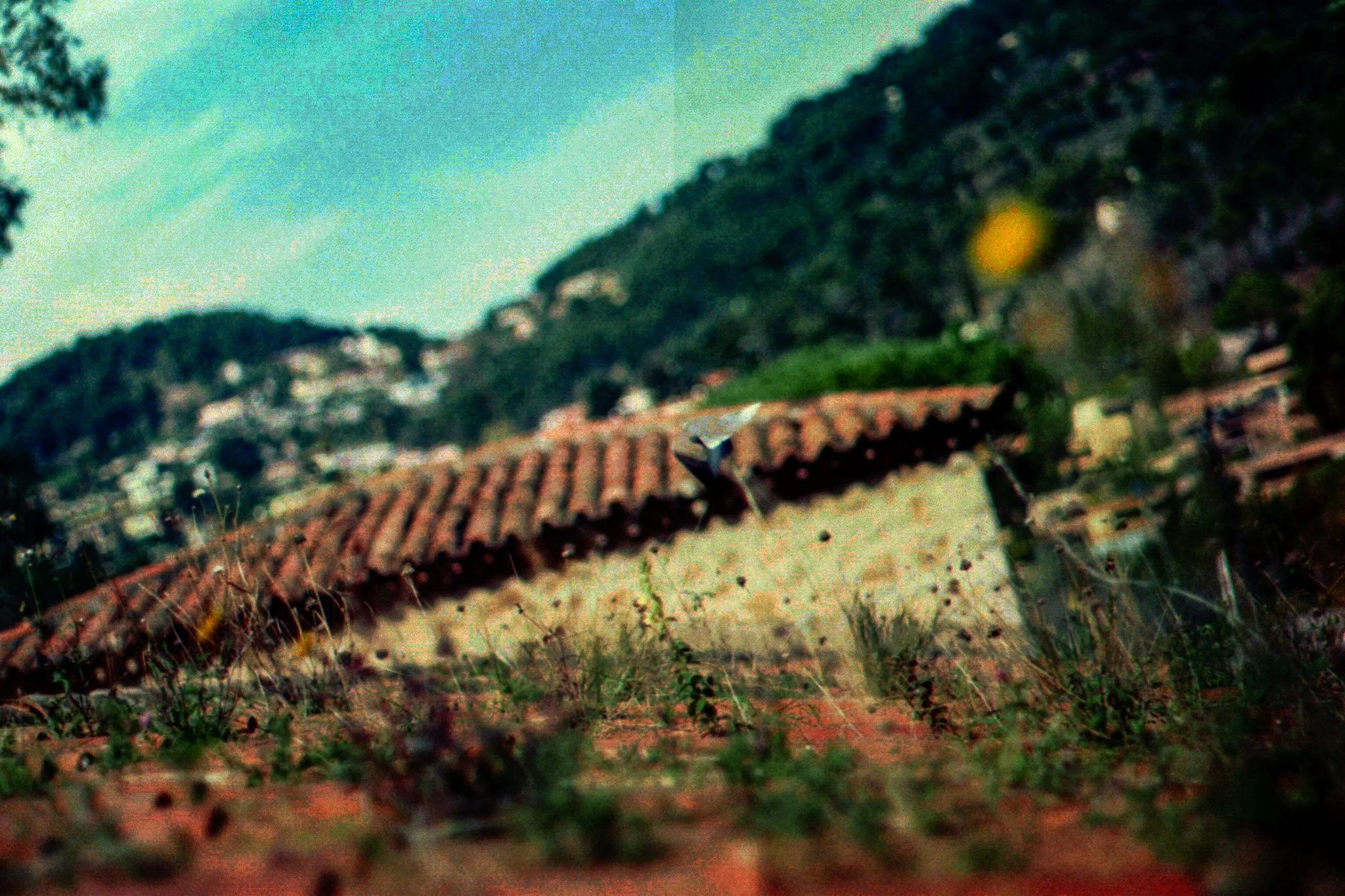 monaco-14.jpg
