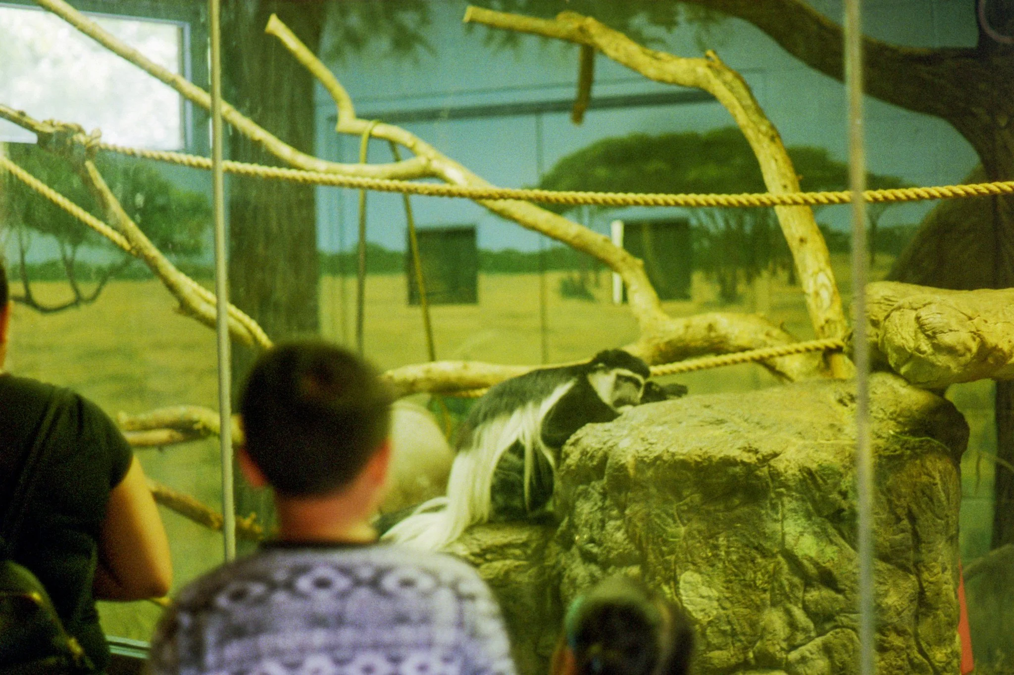 zoo-2017-08.jpg