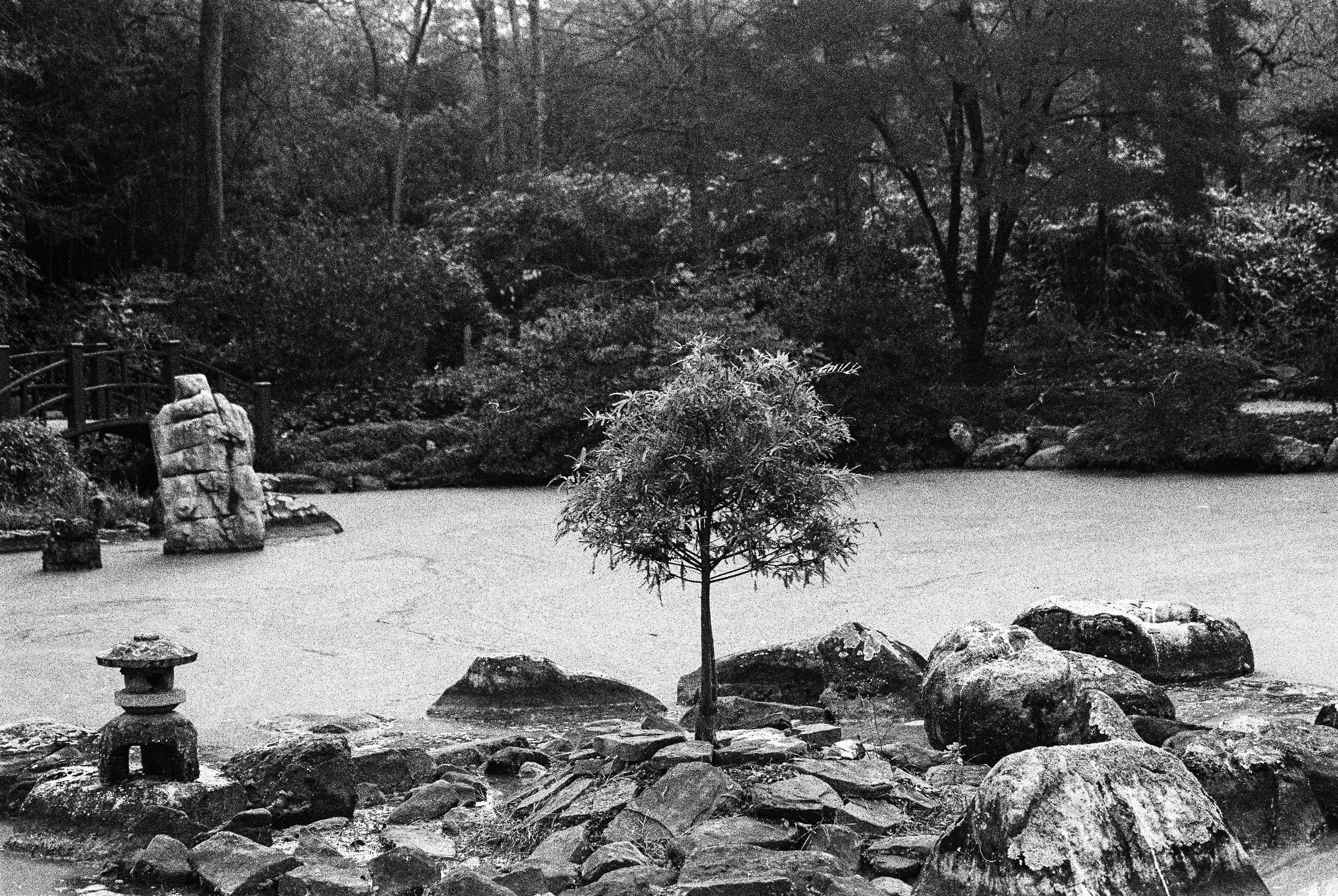 bbg-b&w-11.jpg