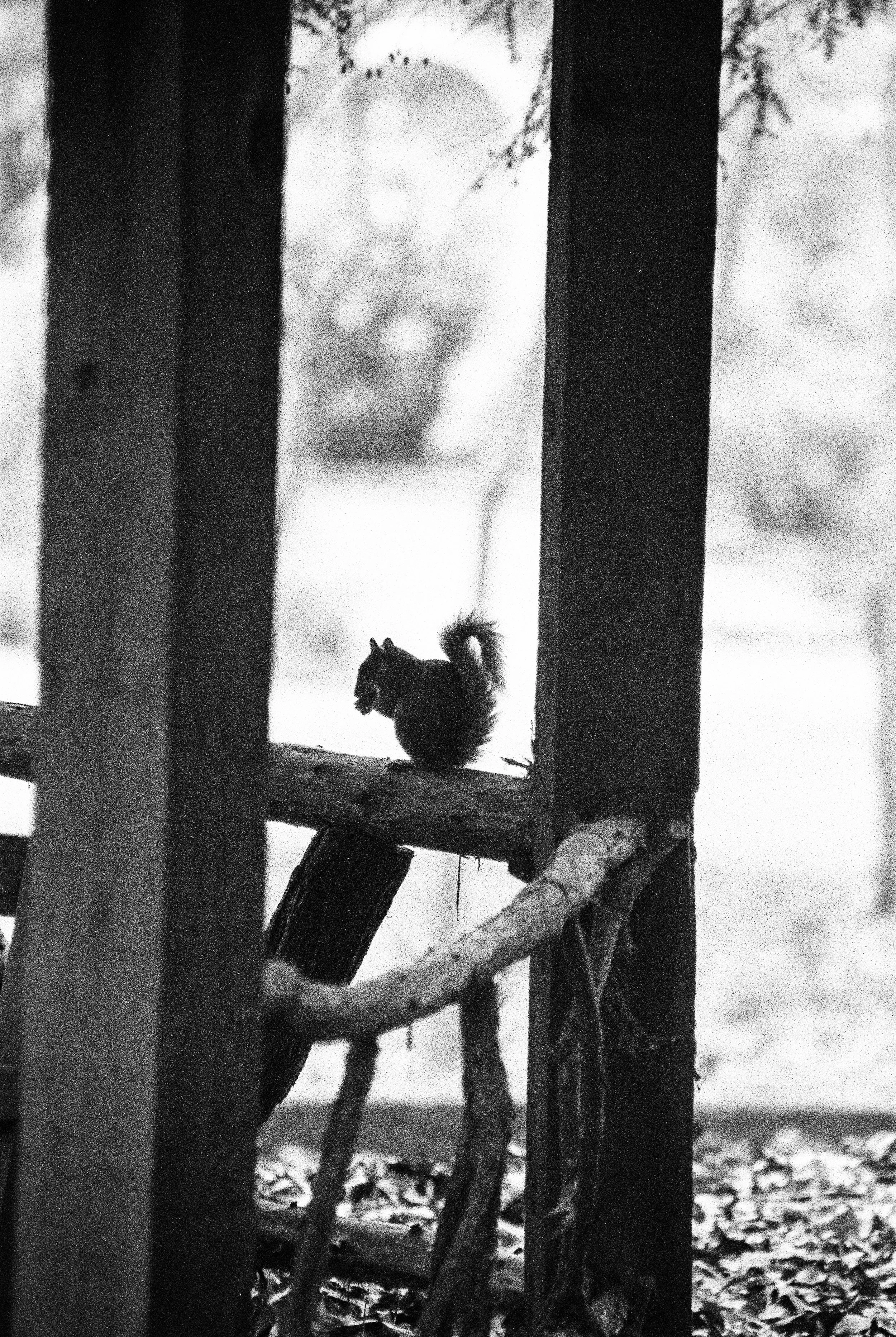 bbg-b&w-26.jpg