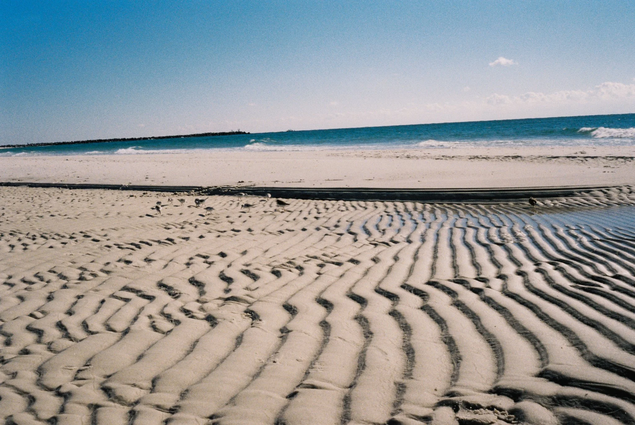 ob2023-27.jpg