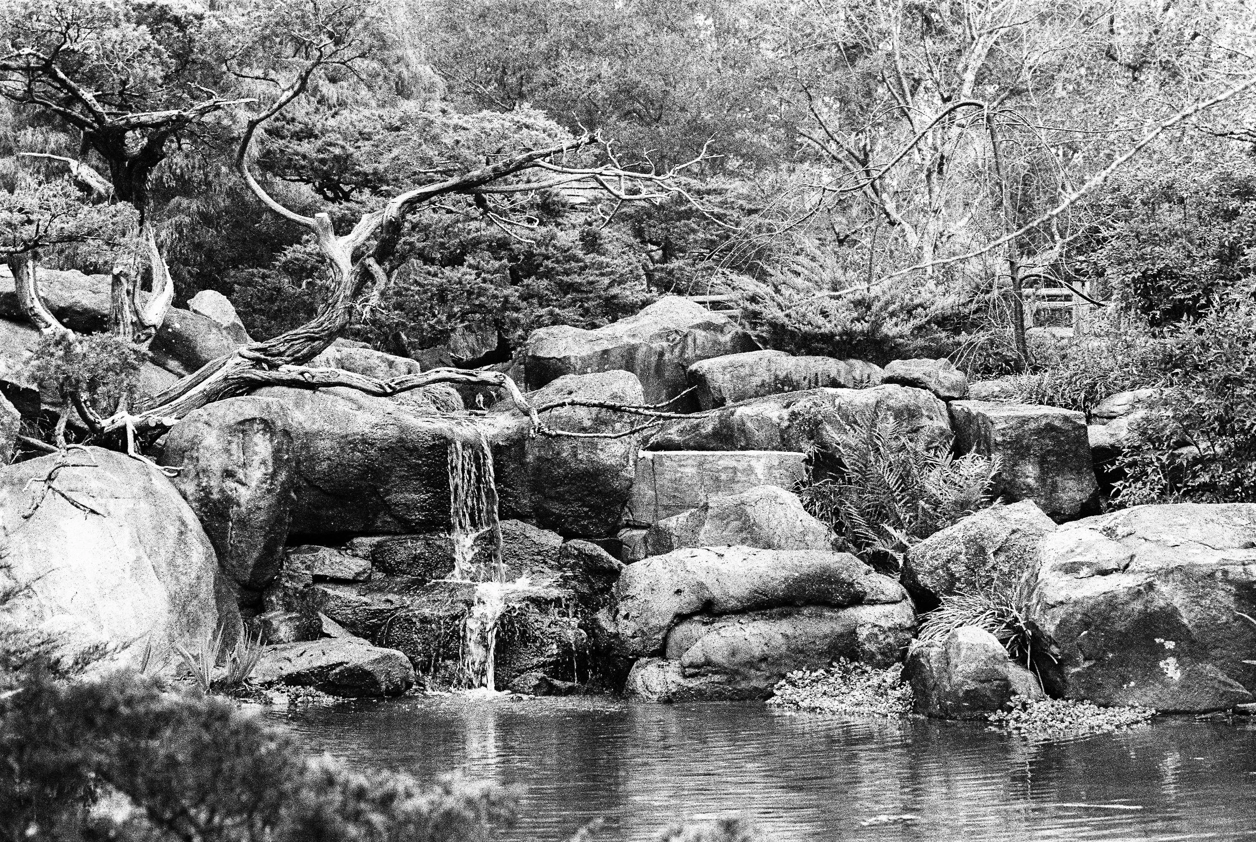 bbg-b&w-4.jpg