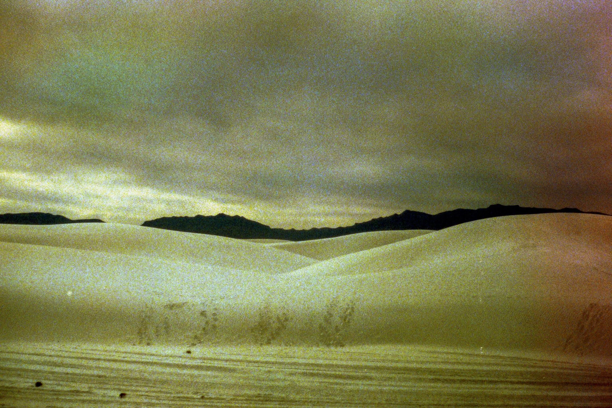 whitesands-15.jpg