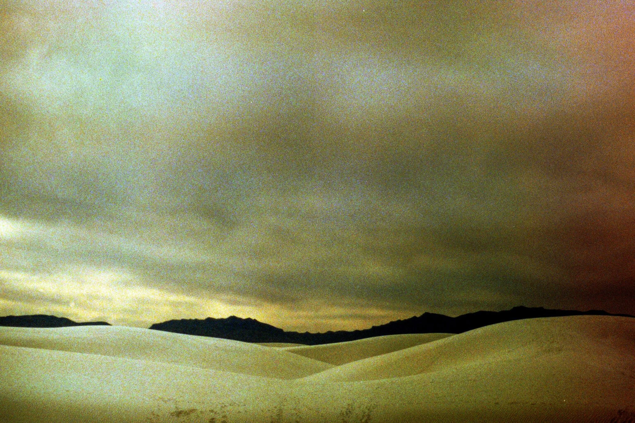 whitesands-14.jpg