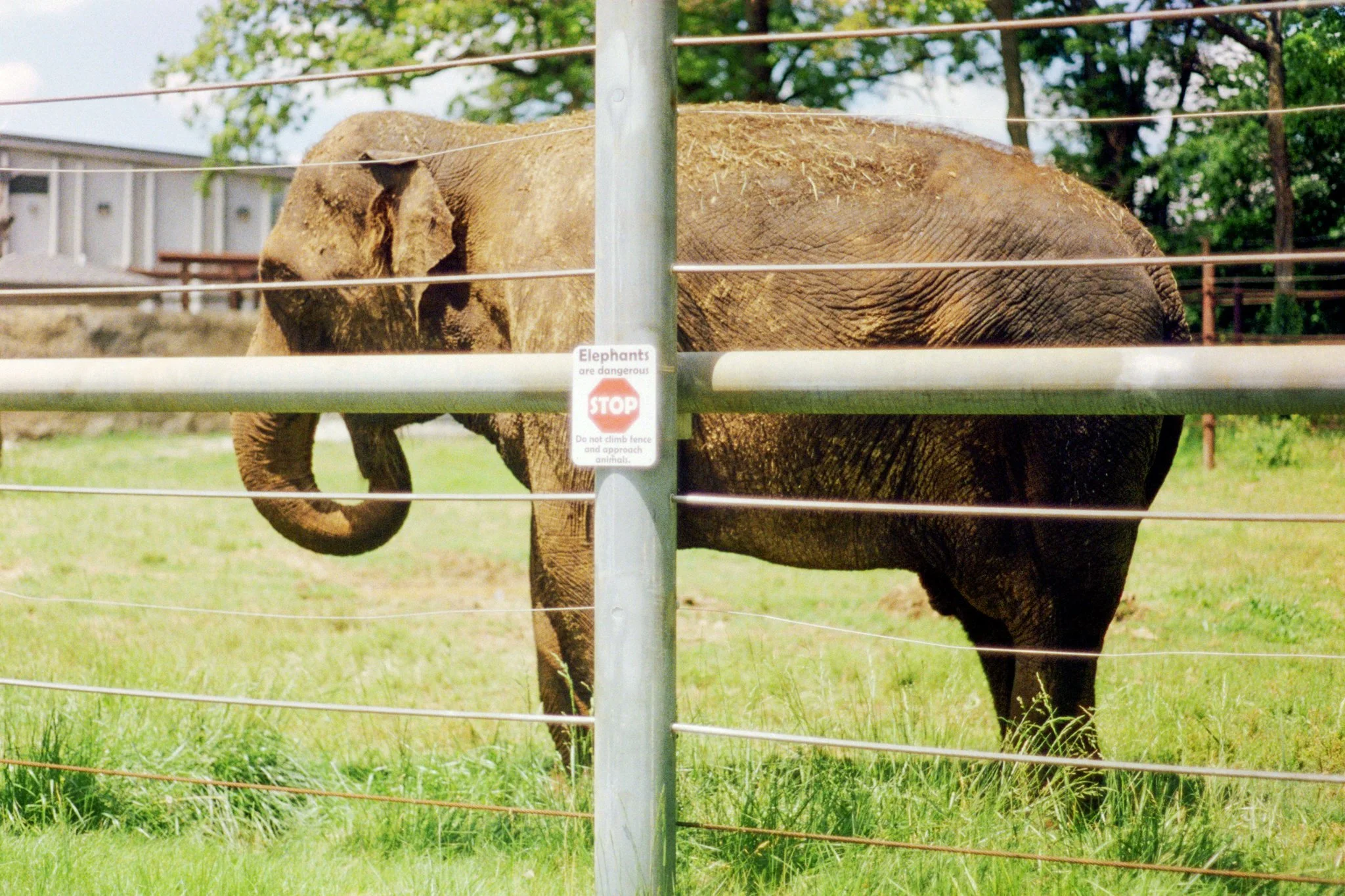 zoo-2017-03.jpg