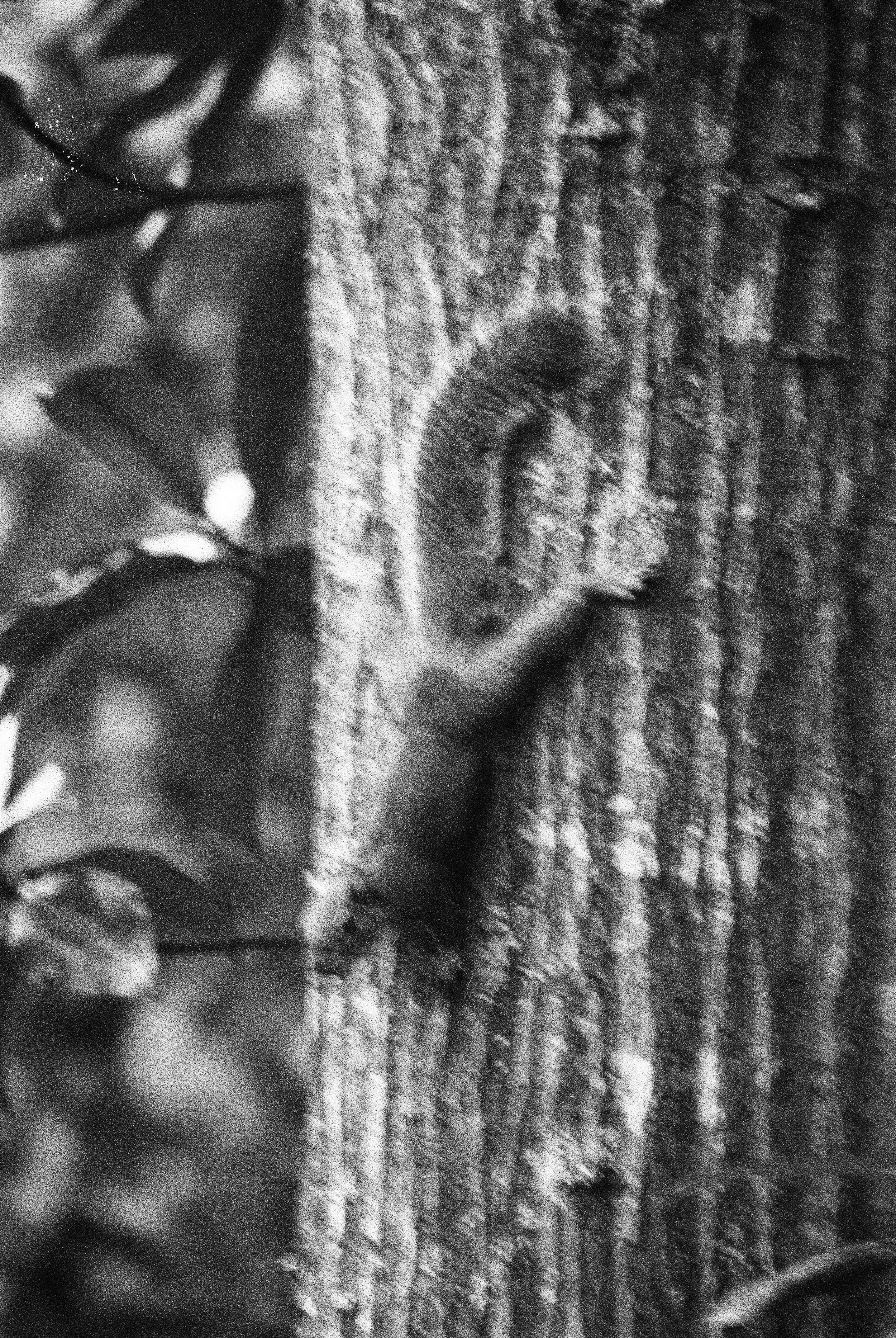 bbg-b&w-14.jpg