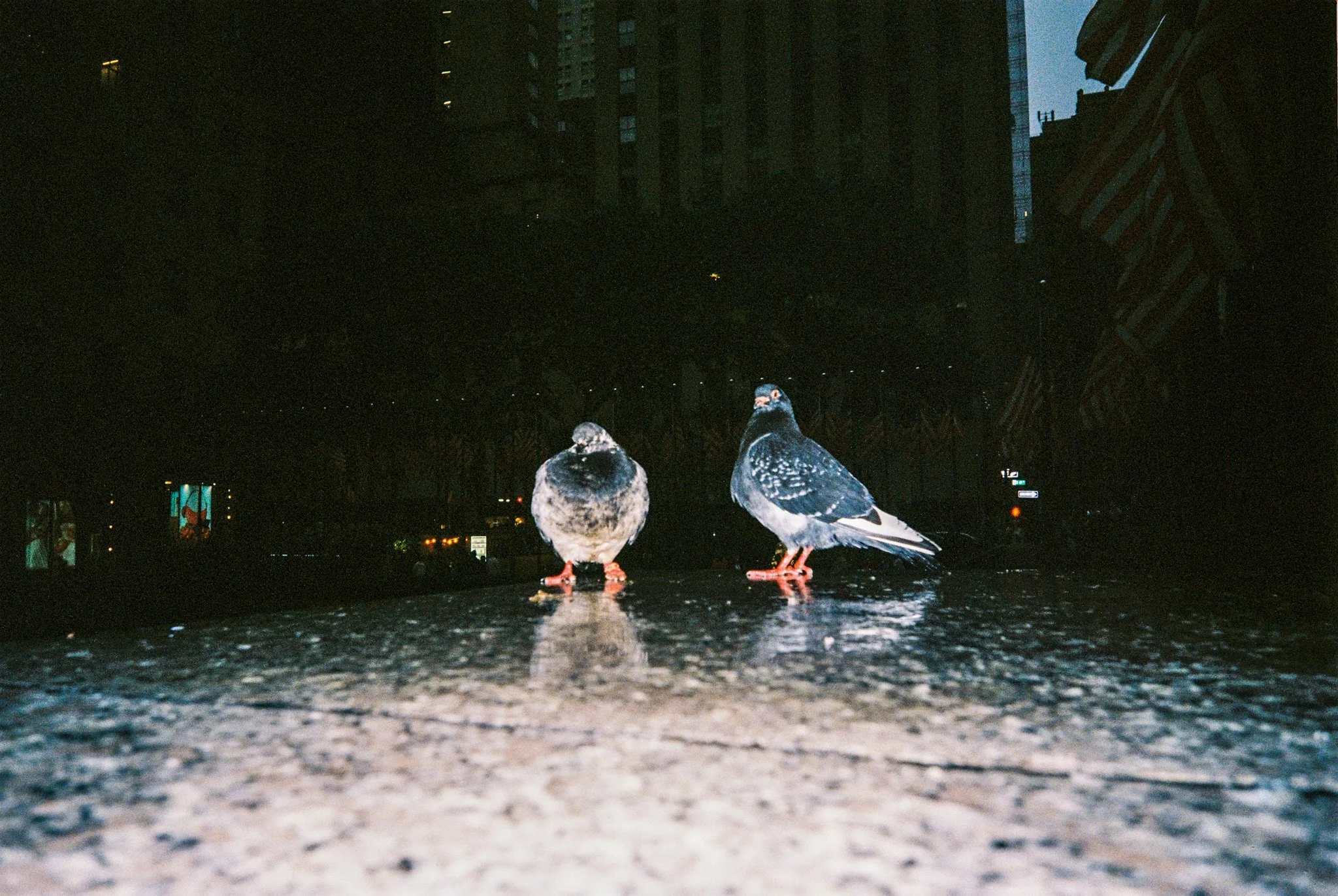 nyc-29.jpg