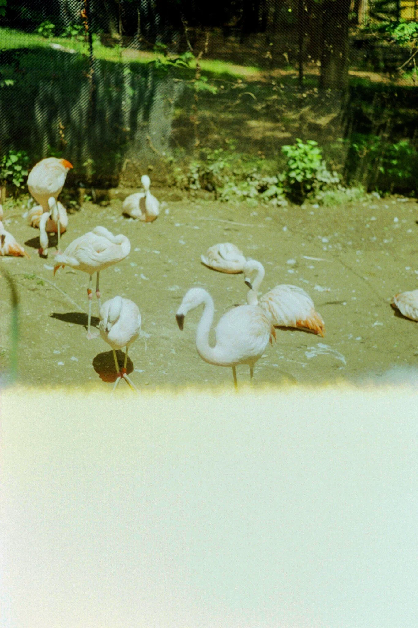 zoo-2017-25.jpg