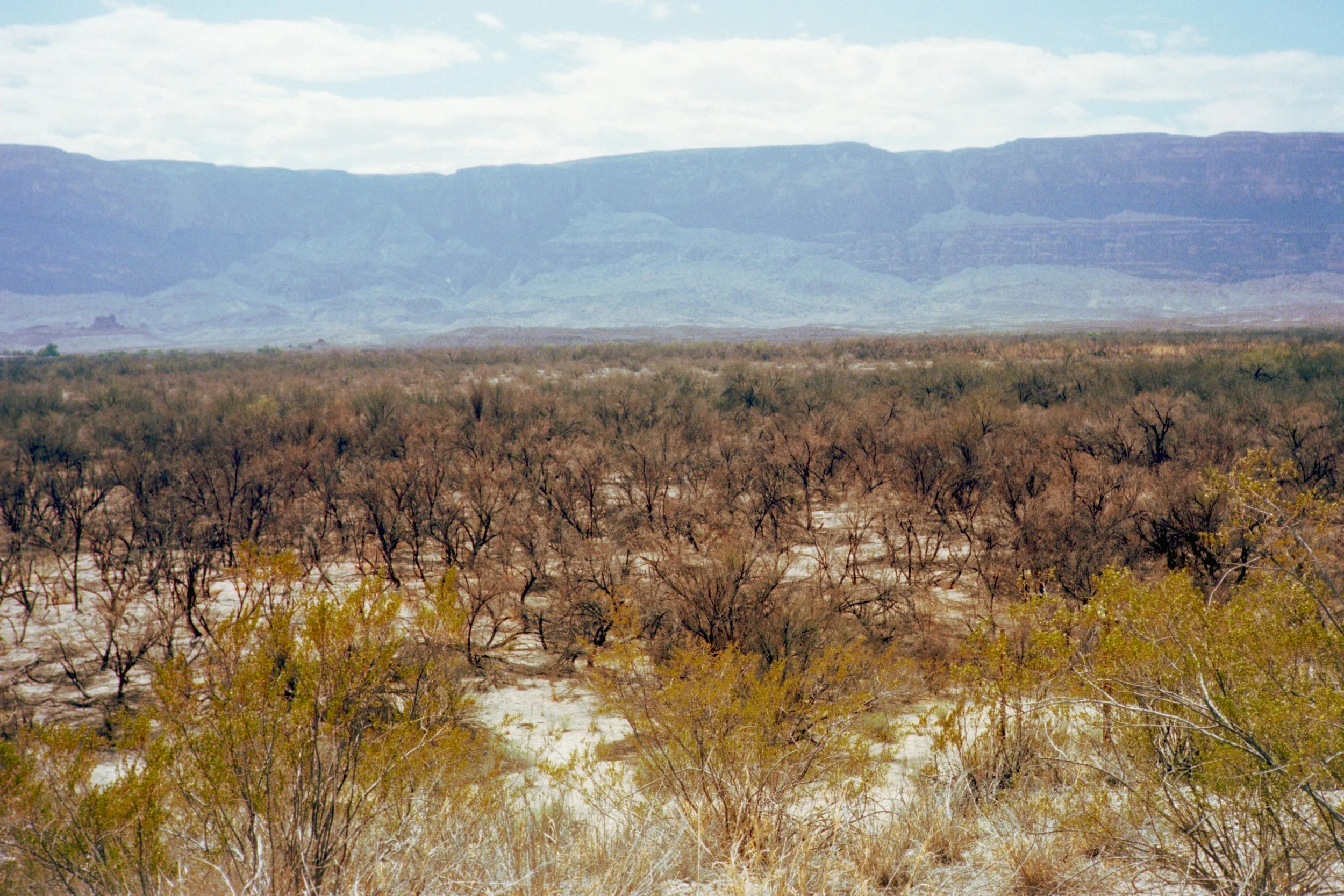 west.texas.-20.jpg