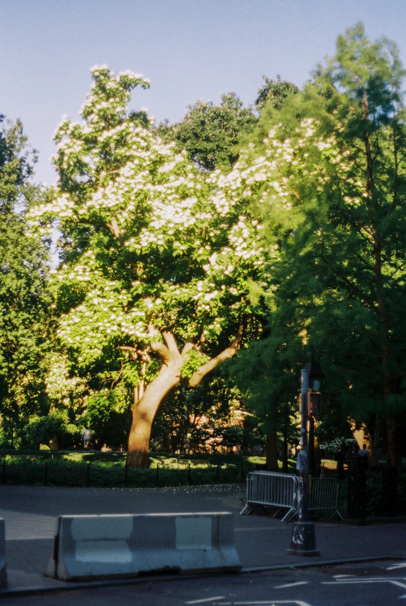 nyc-76.jpg