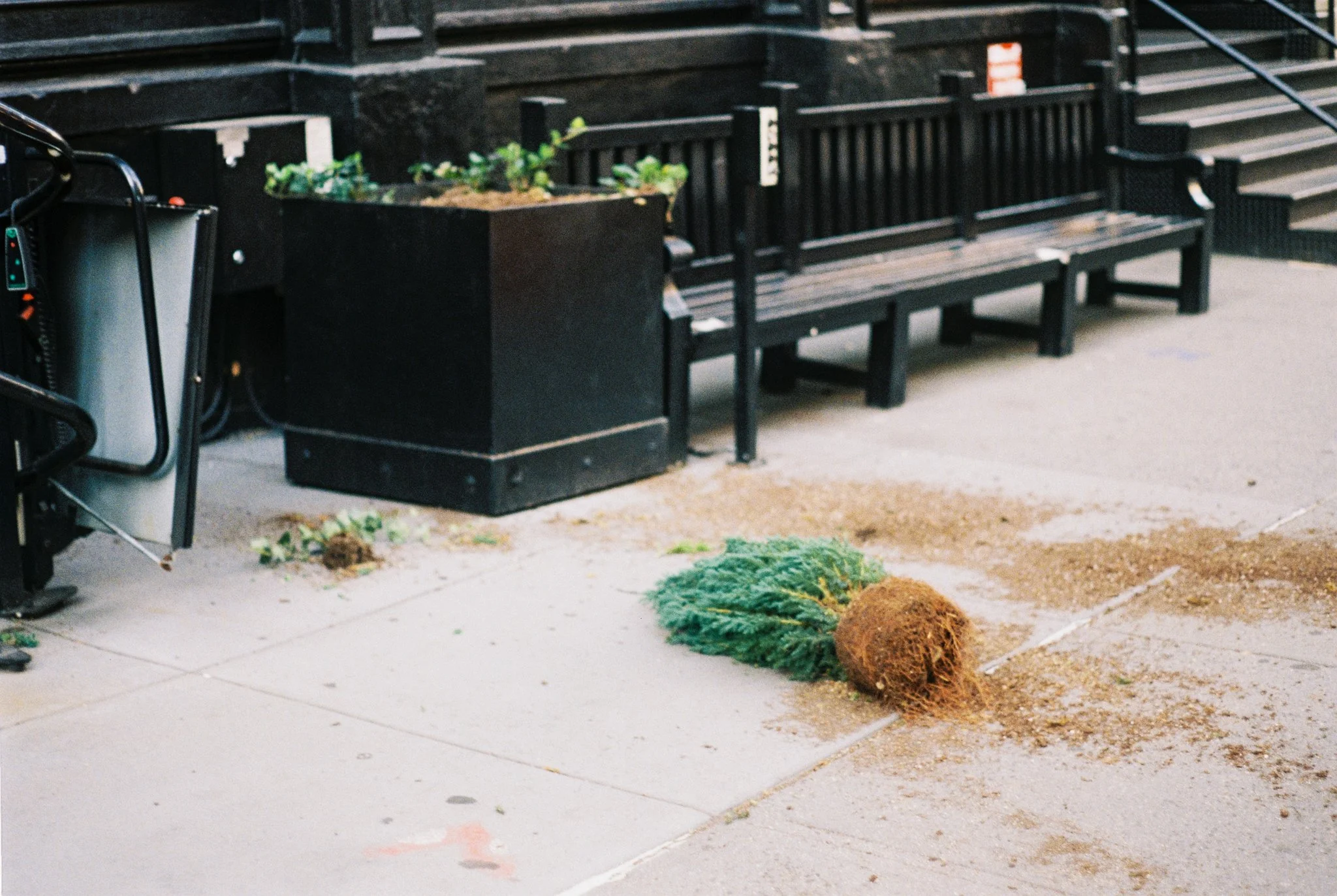 nyc-21.jpg