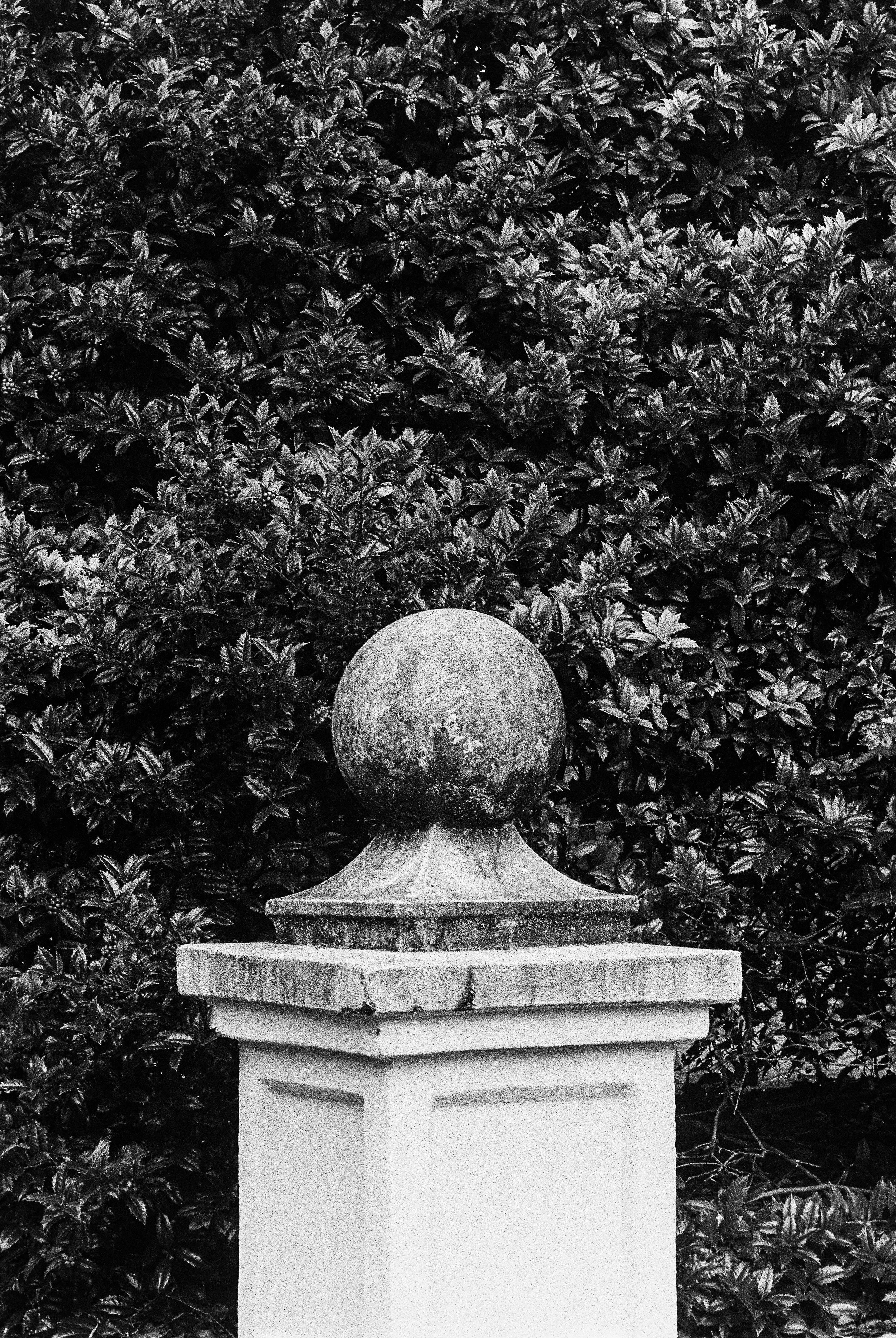 bbg-b&w-18.jpg