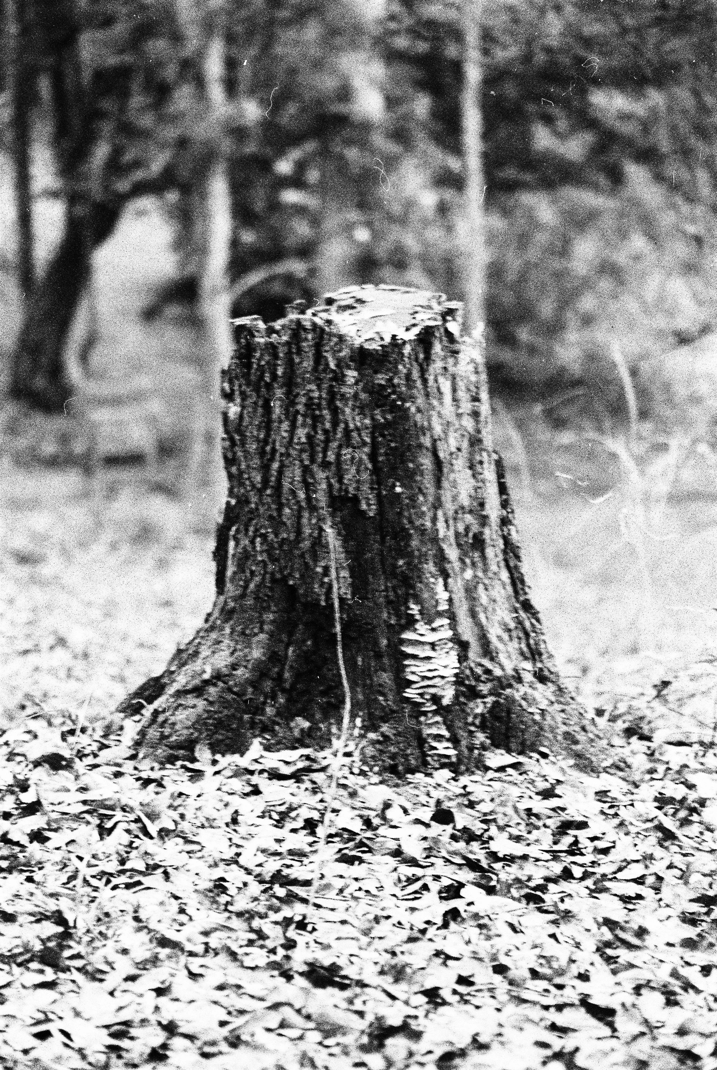 bbg-b&w-27.jpg