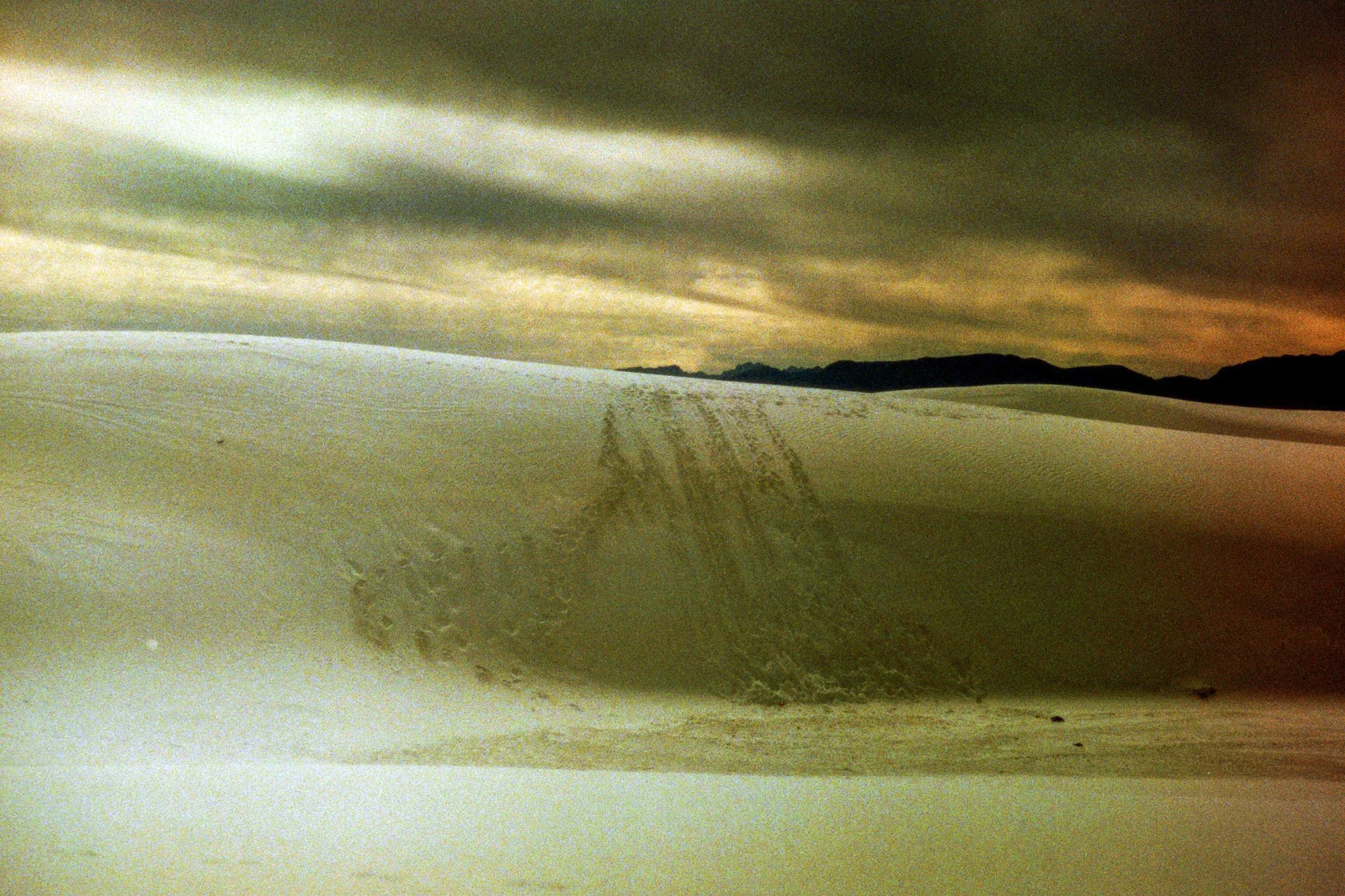 whitesands-11.jpg