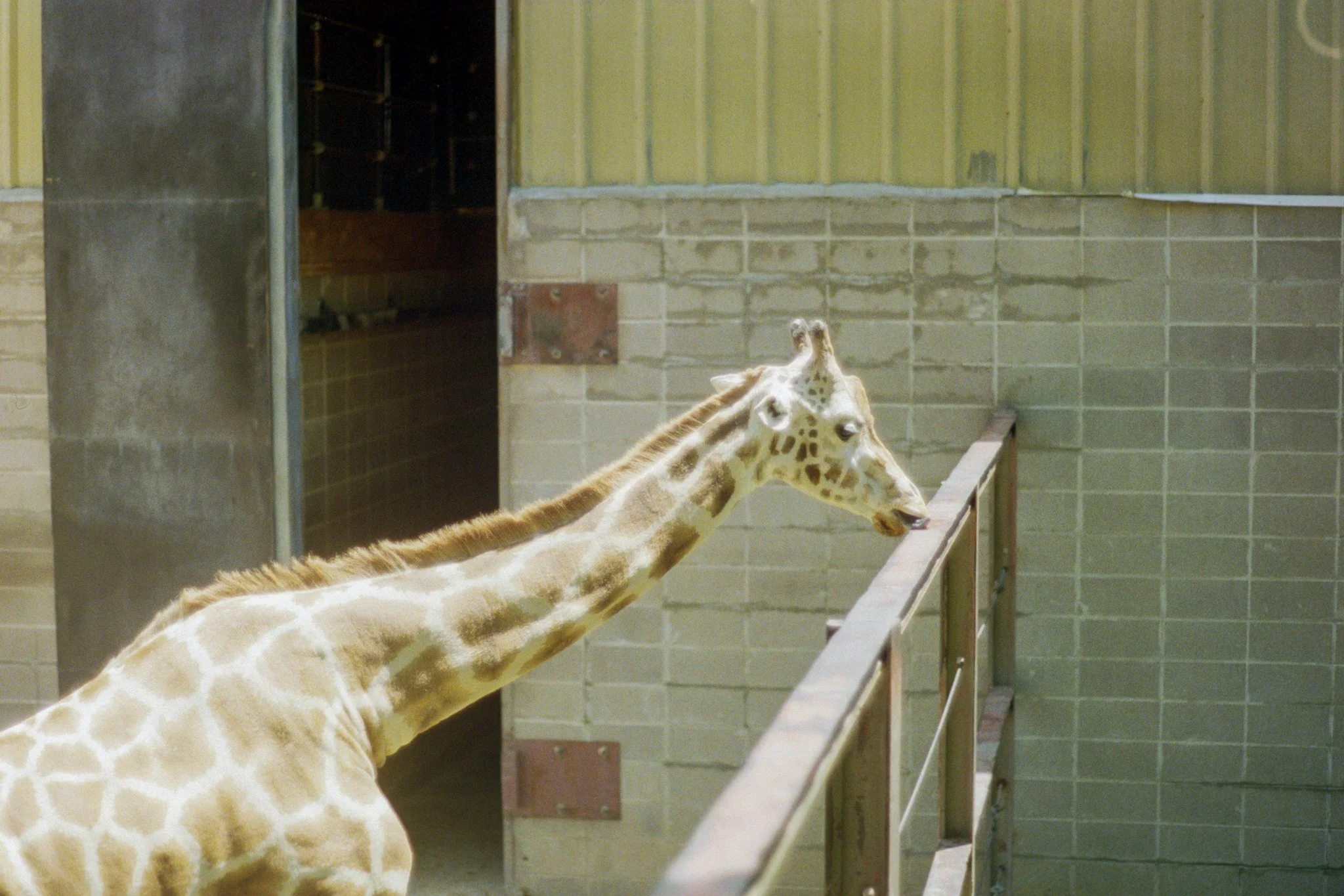 zoo-2017-12.jpg
