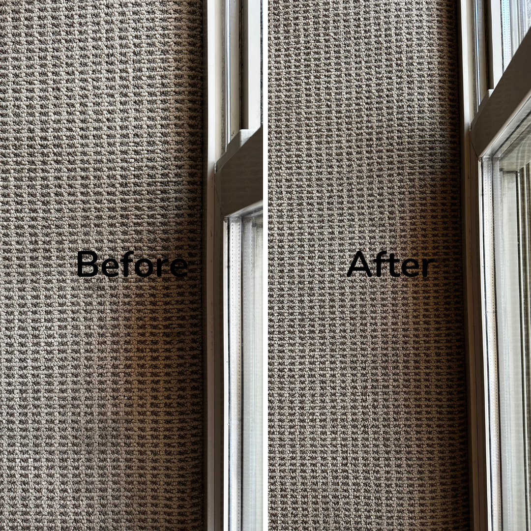 Vernon Carpet Cleaning