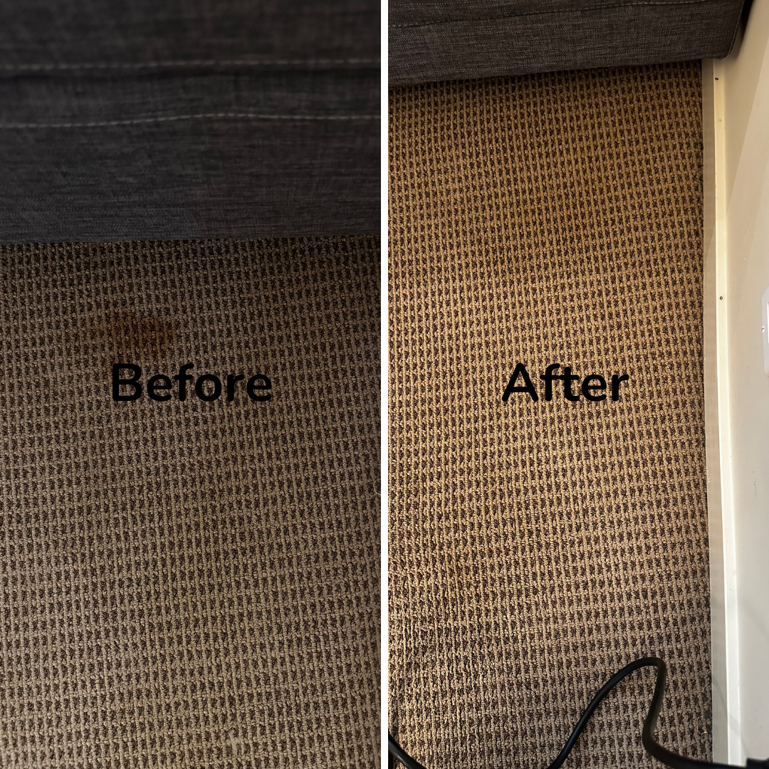 Getting stains out of carpet in Vernon