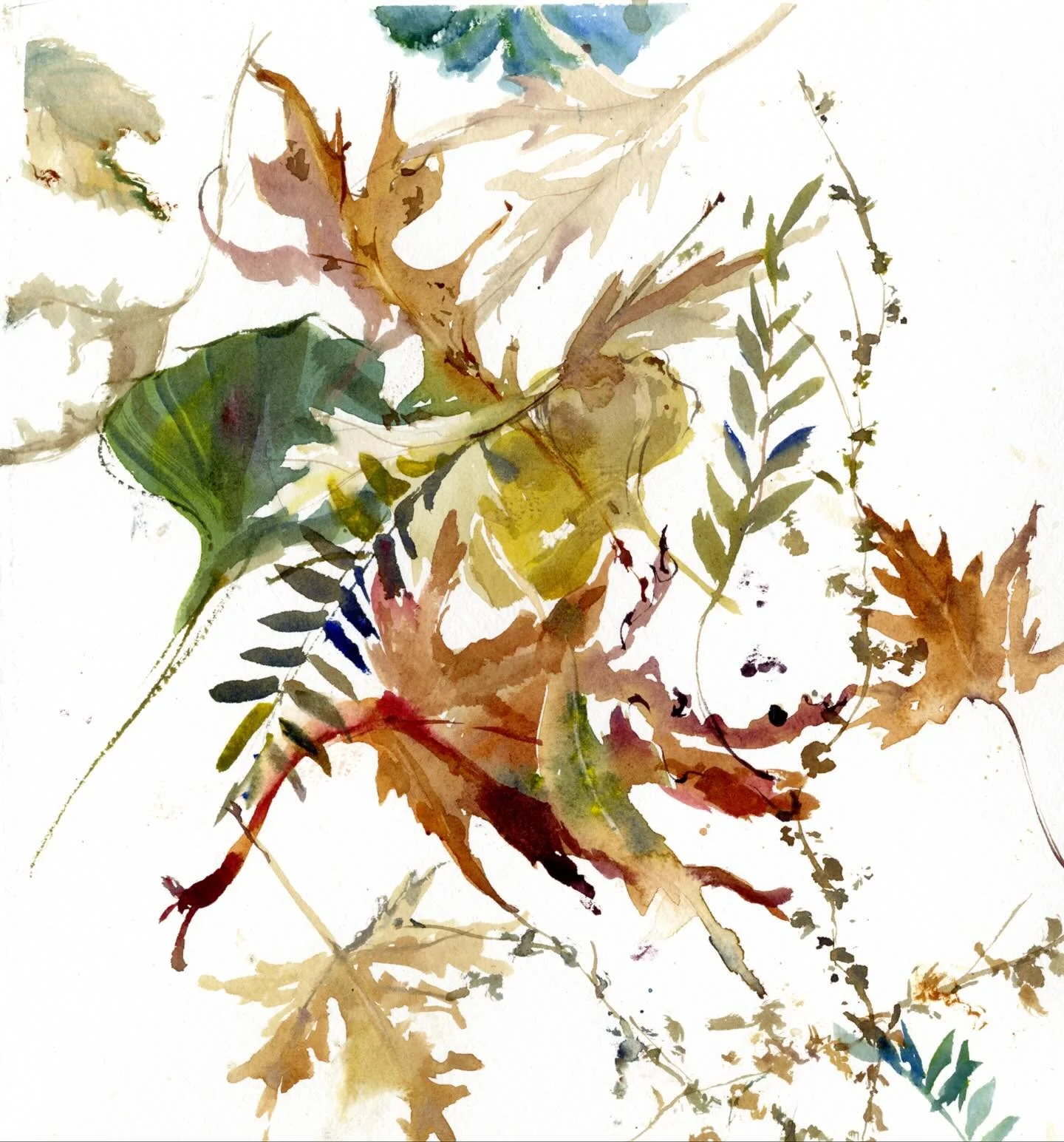When autumn leaves start to fall. #watercolor #leaves #gatherandscatter #@drawingisfree_org @patreon #session40 #leavesofatree