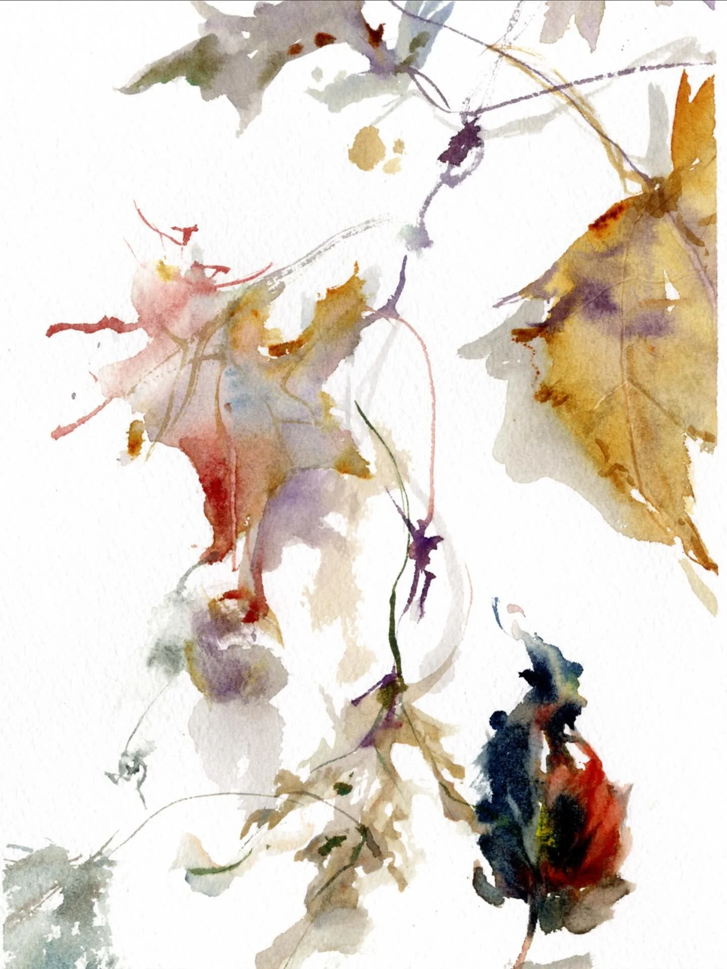 With hopes  to catch the falling leaves, in end of day light. Autumn. Thanks to @drawingisfree_org for the invitation to settle in and praise these signs of aging nature. #watercolor #autumn #autumnleaves🍂 #riversidedrive #viewfrommywindow #agoodper