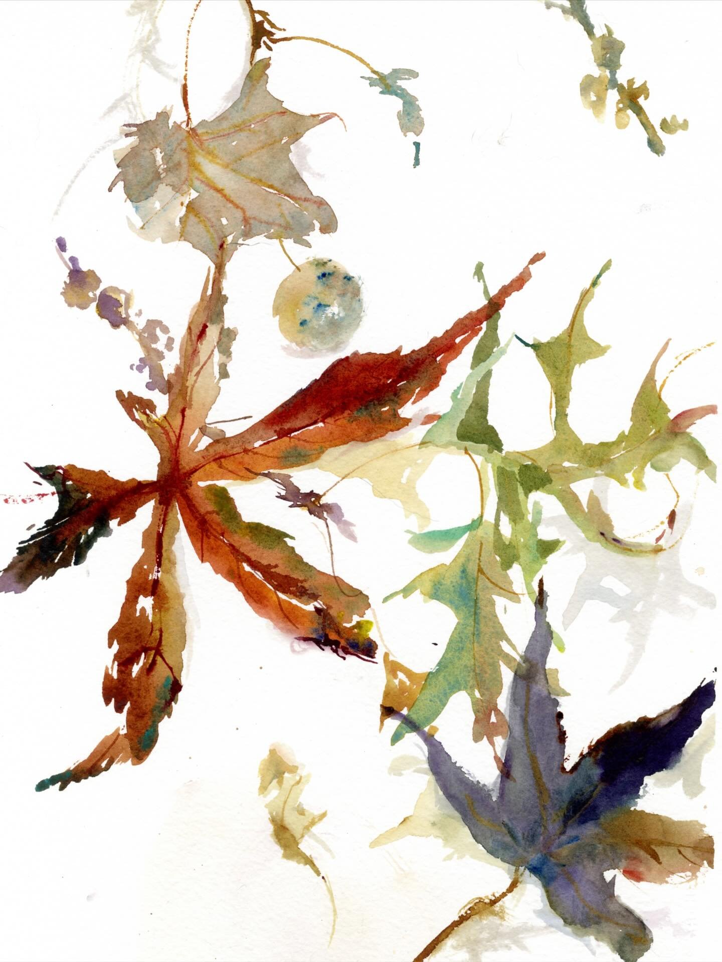 The falling leaves, continued. #endless #wishfalllastedlonger #watercolor #mapleleaves #oakleaves #pickuptreasures