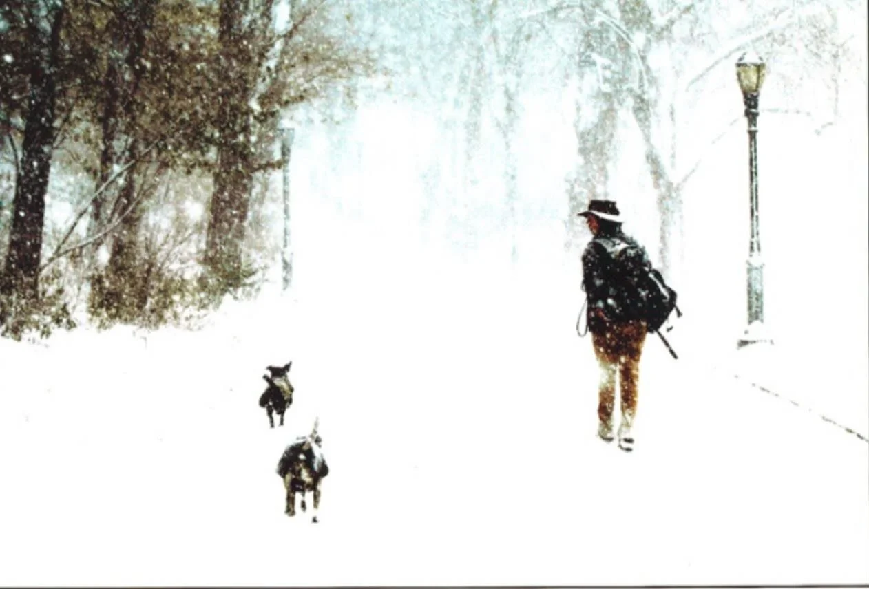 @tingliwangphoto took this precious photo of Pinkie, Clarence and me in @riversideparknyc in December 2003. The dogs and I had a busy morning picking up mushrooms and leeks at the 97th st Greenmarket and tromping off to feed a colony of cats (20 in t