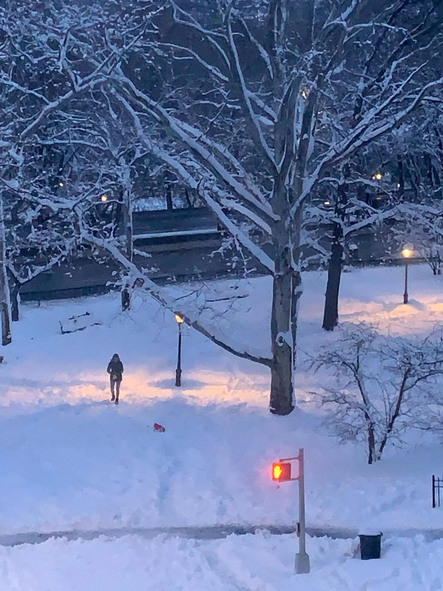The storm is settled down for the night. Magical softness in the city. #snowstorm #wetquietswoosh #snowlight #nyc @riversideparknyc