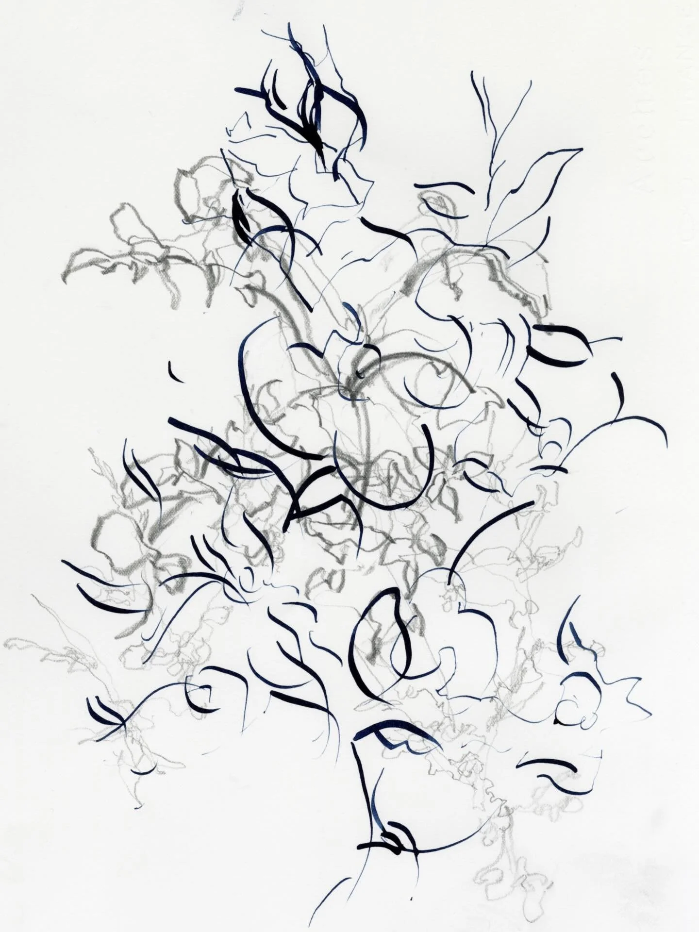 Today&rsquo;s drawings  of flowering shapes with Chloe and artists from all over the world. Fun on top of fun. #pencildrawing #ink #flowers #drawingwithcommunity