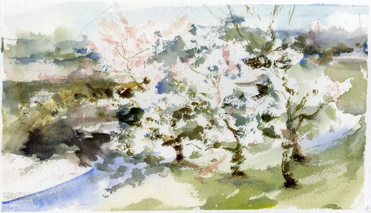 Finally! Painting the gorgeous #yoshino cherry trees in @riversideparknyc at W 99th Street above the ramp to the Henry Hudson Highway. If you want to learn about the history of the flowering trees of Riverside Park, and the park&rsquo;s riverfront hi