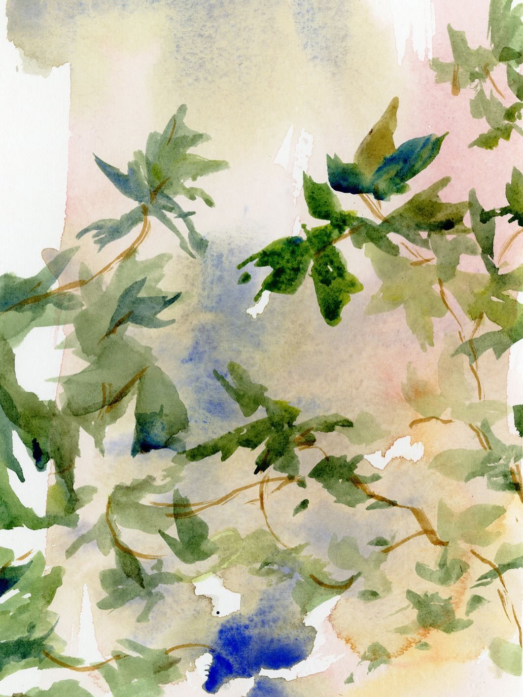 Painting oak leaf hydrangeas in @riversidejoan this afternoon. #peaceful #turninggreen #watercolor #pleinairpainting