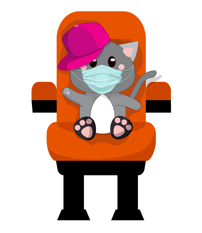 Cat, masked, sitting in a theatre chair