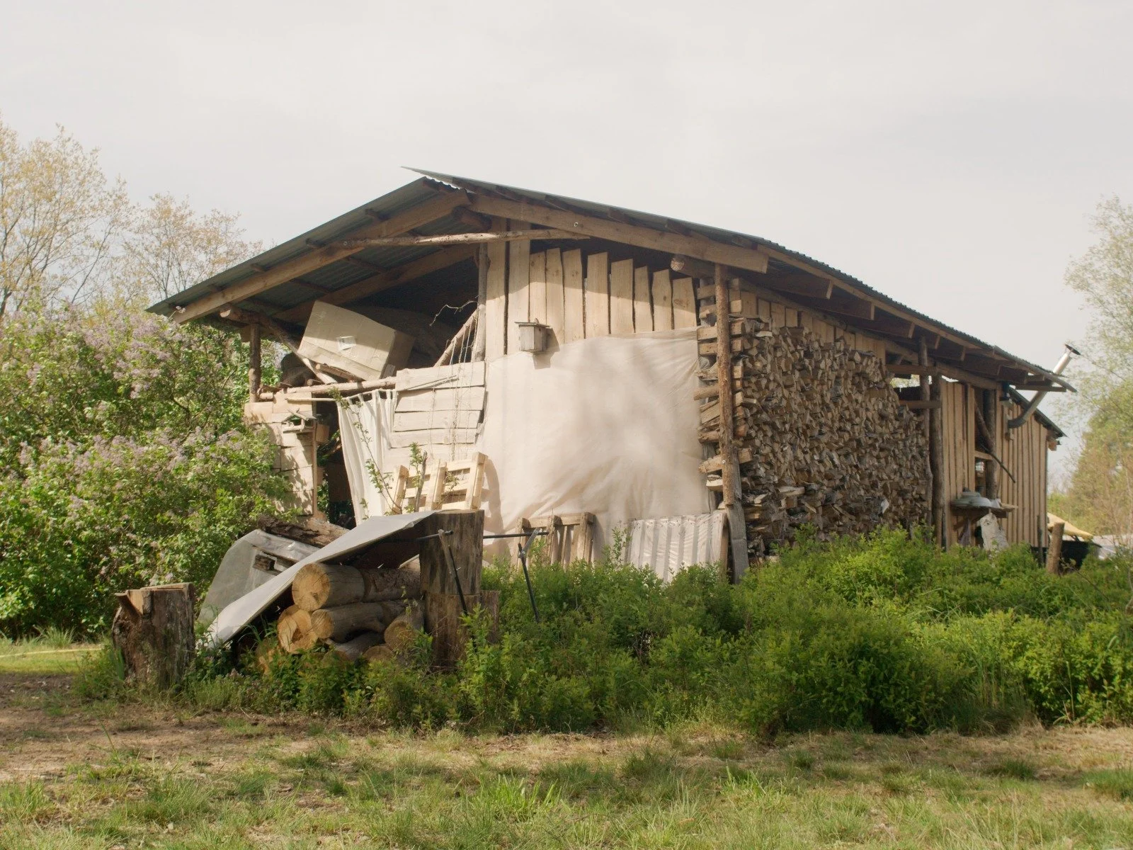 Farm for sale