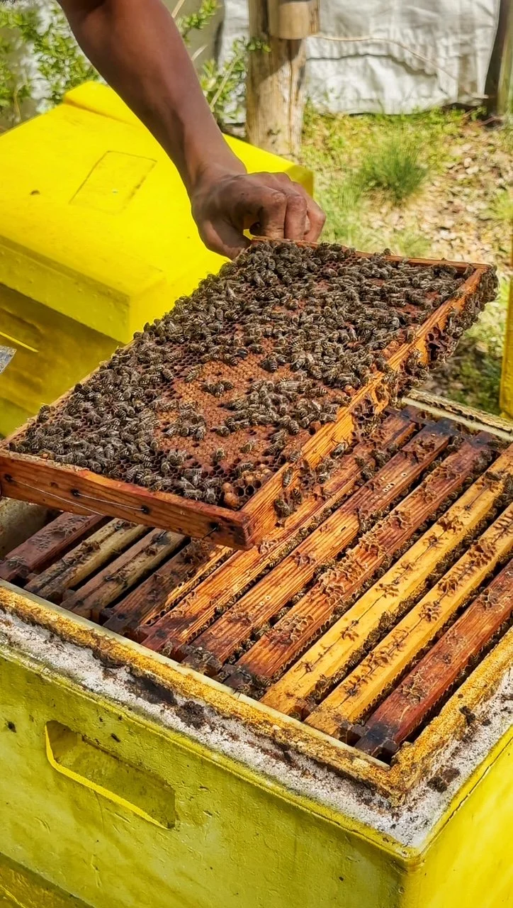 From zero to hive