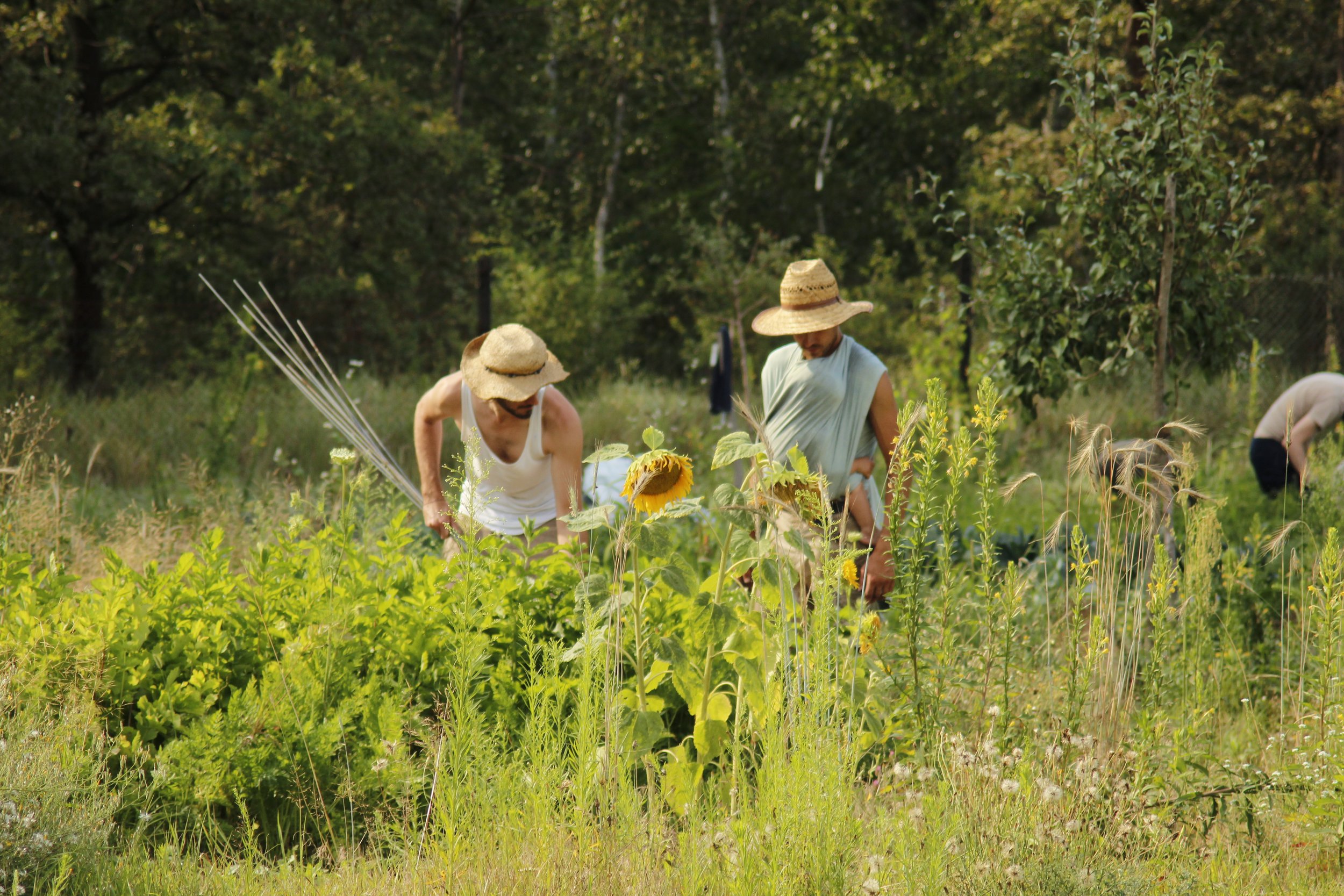Two farmers and a baby in a Berlin Summer