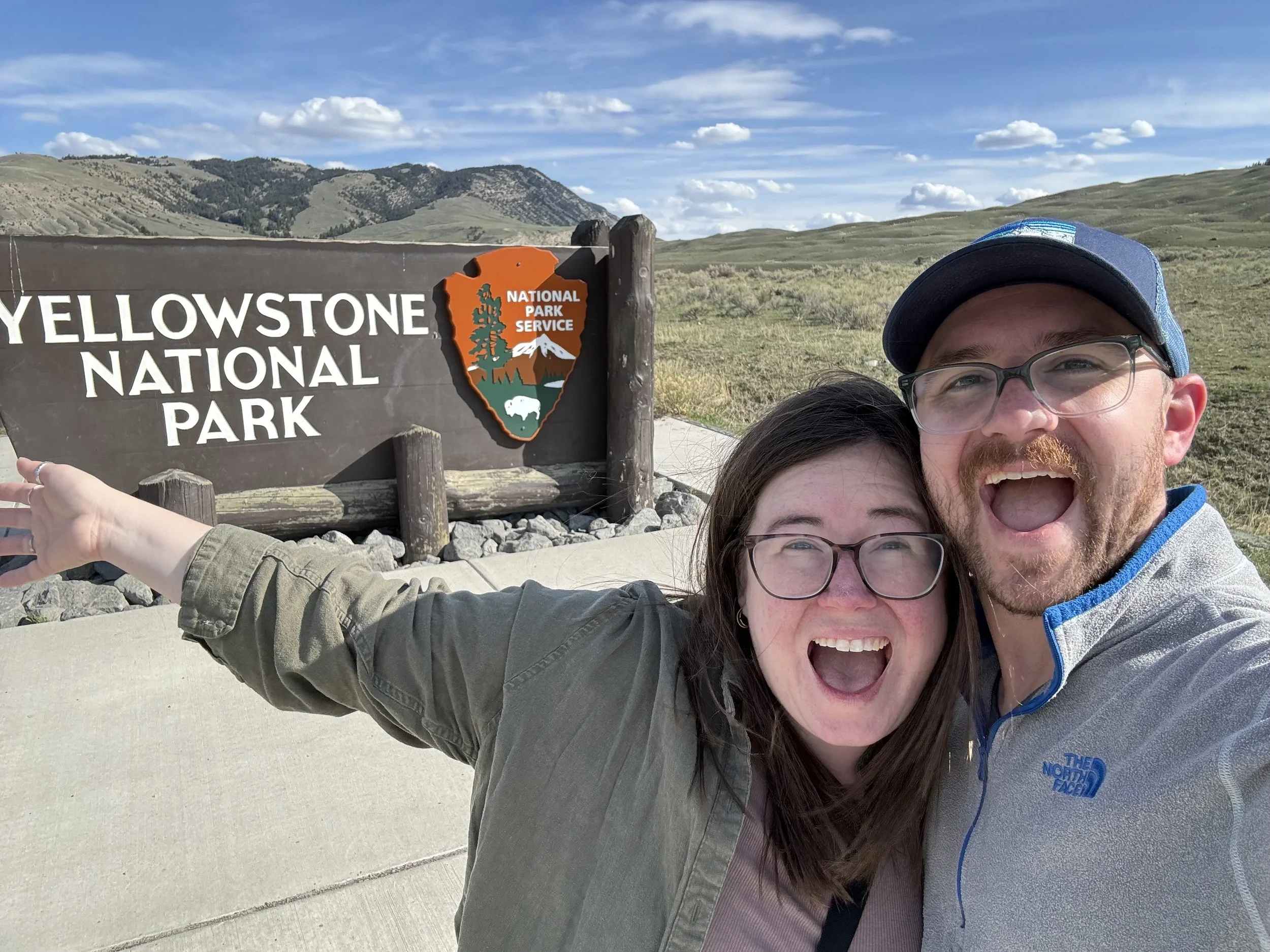 The First of Many Bison in Yellowstone 