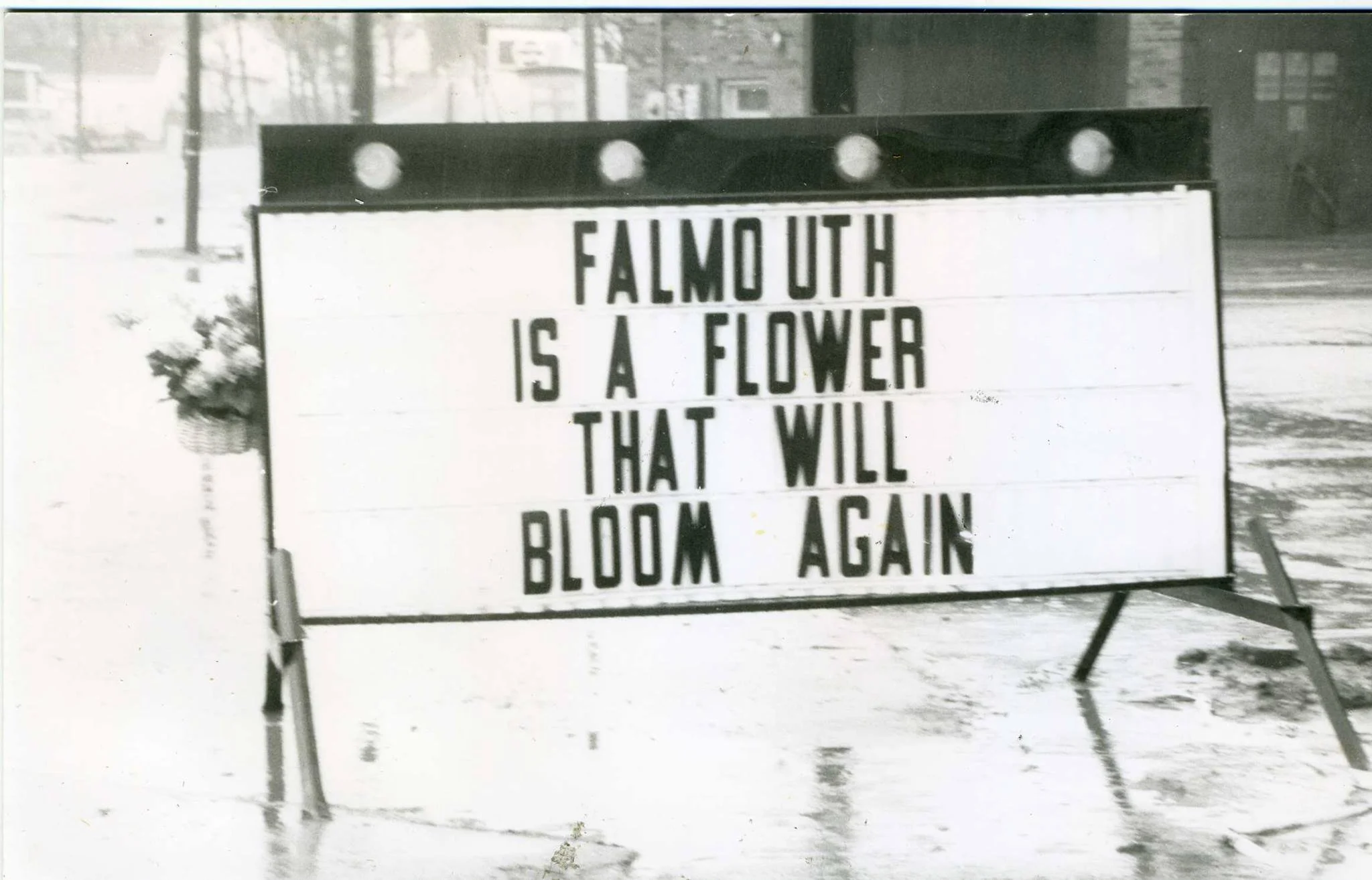 The Town that Helped Save Mine: Visiting Falmouth, MA