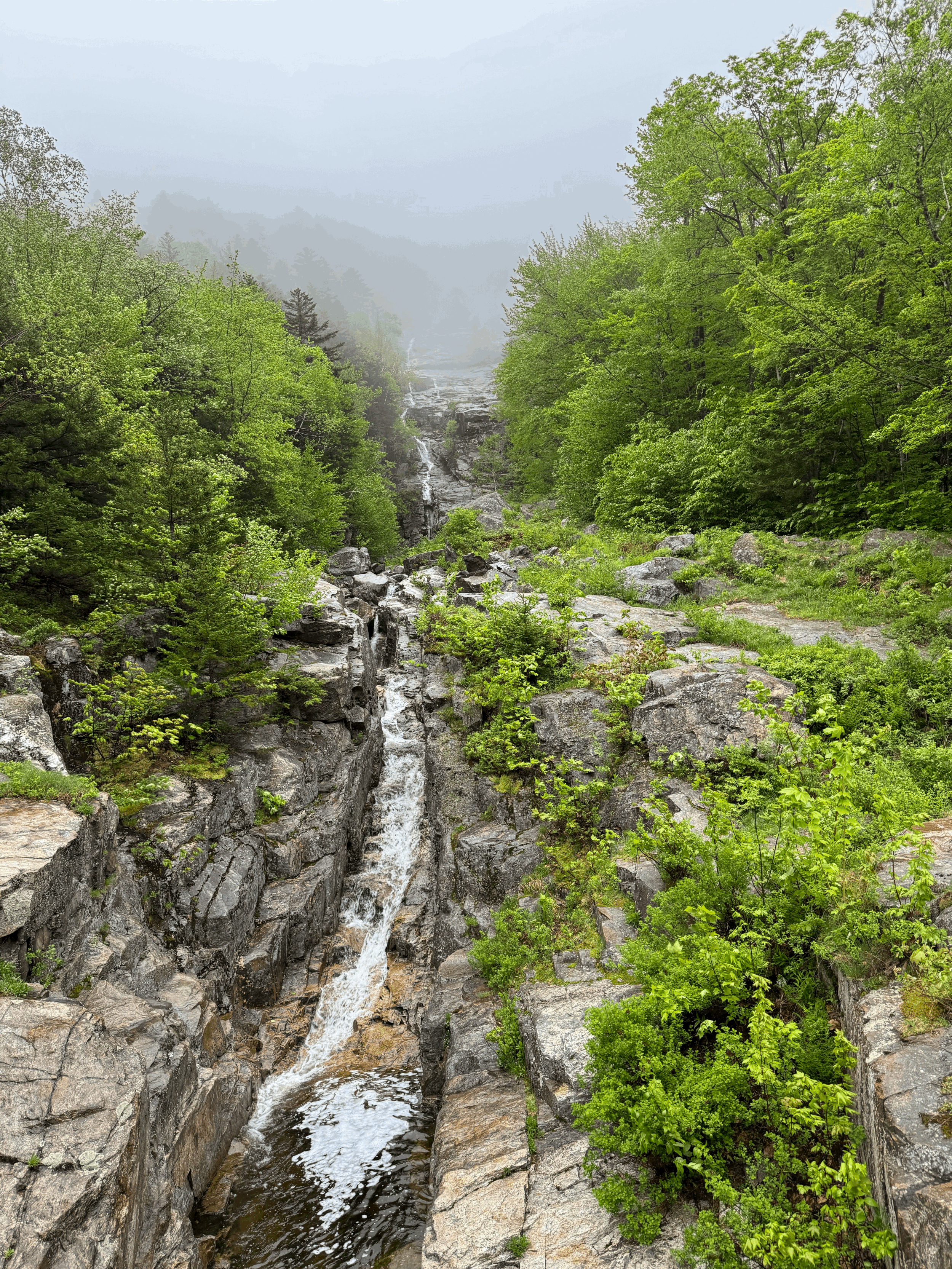 Misty Mountains &amp; Biting Flies: Our Quick Trip through New Hampshire