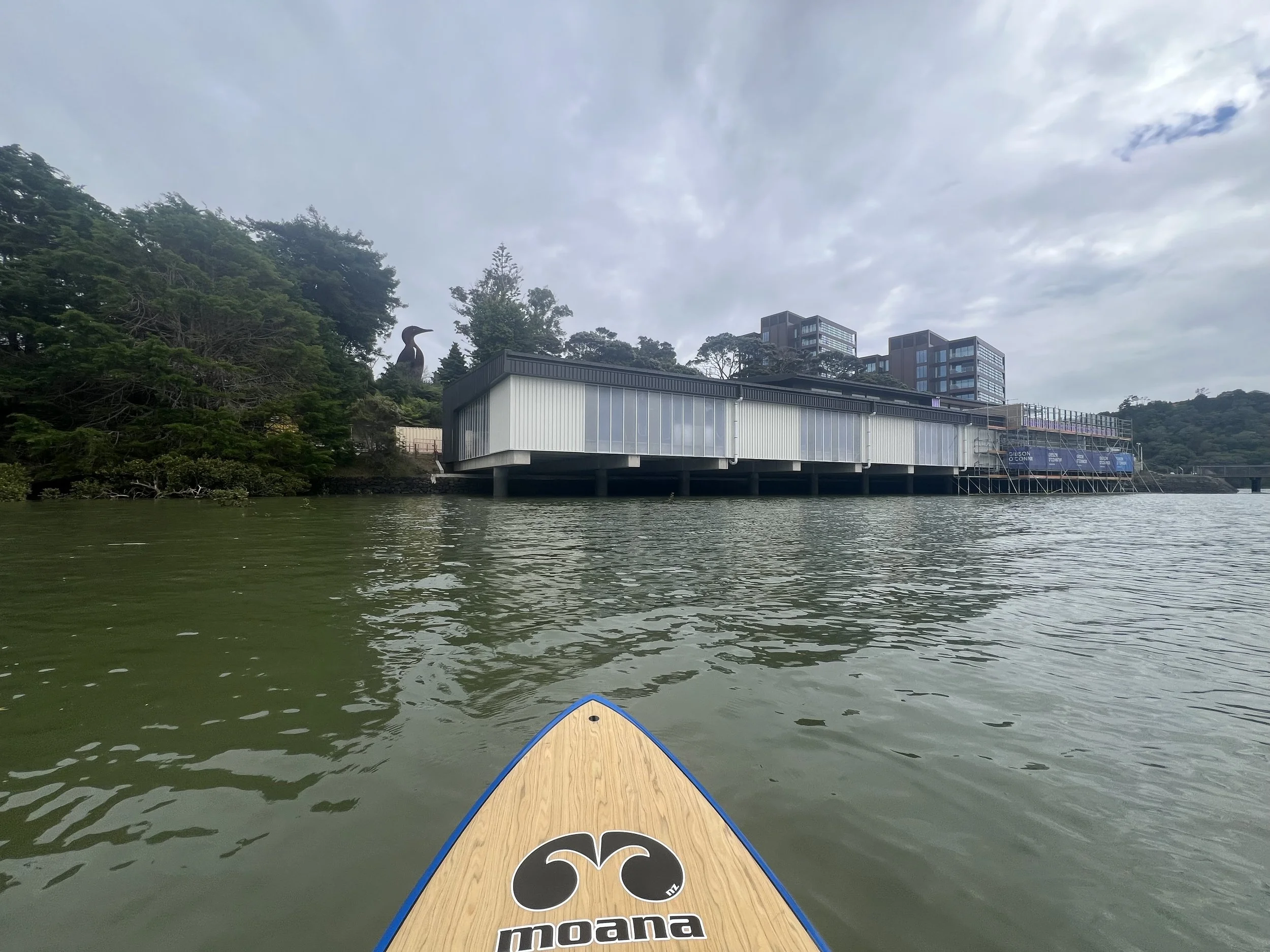 Progress Update - January 2026