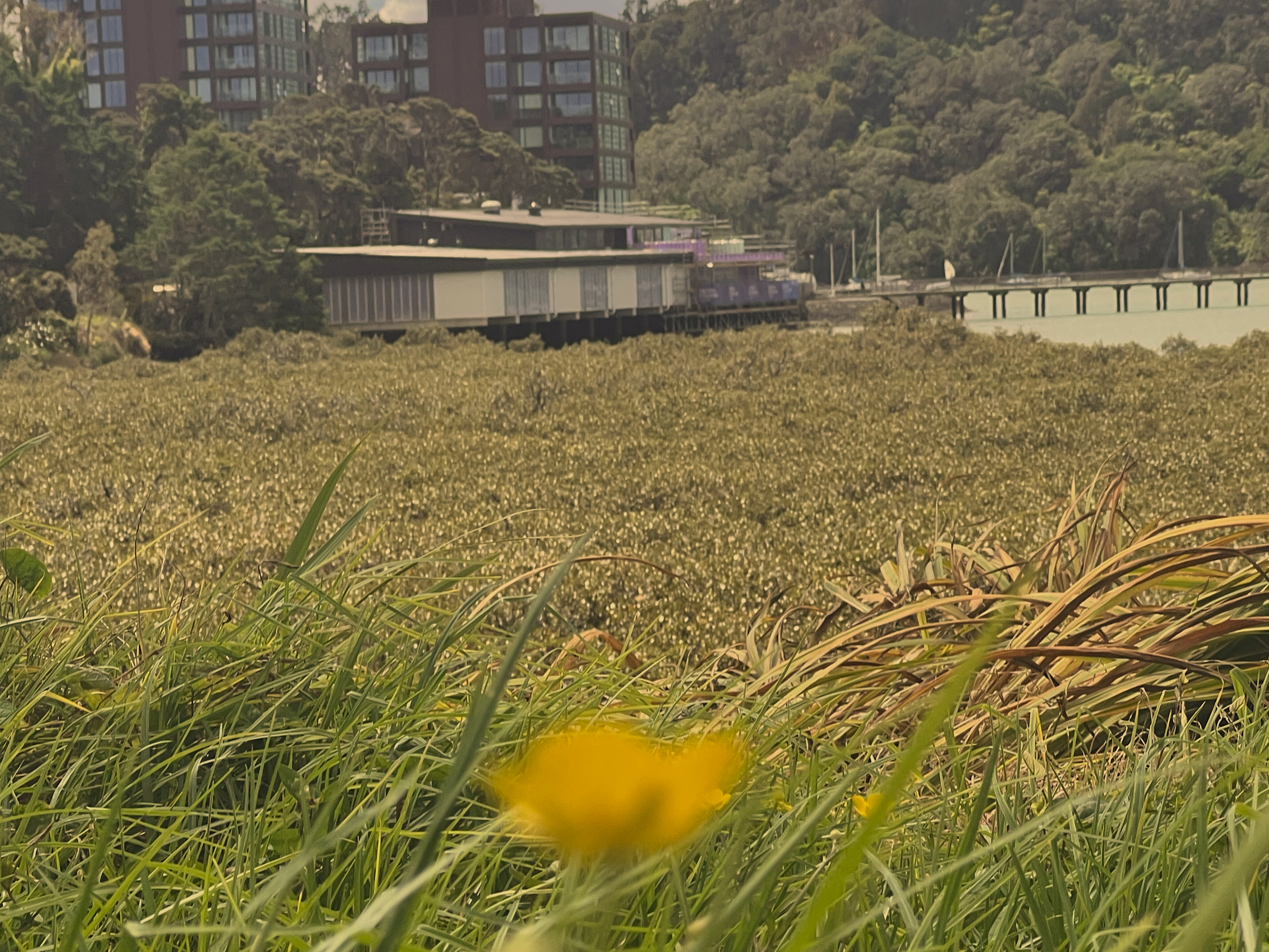 What’s been happening at the Marine Centre? Quite a lot, actually.